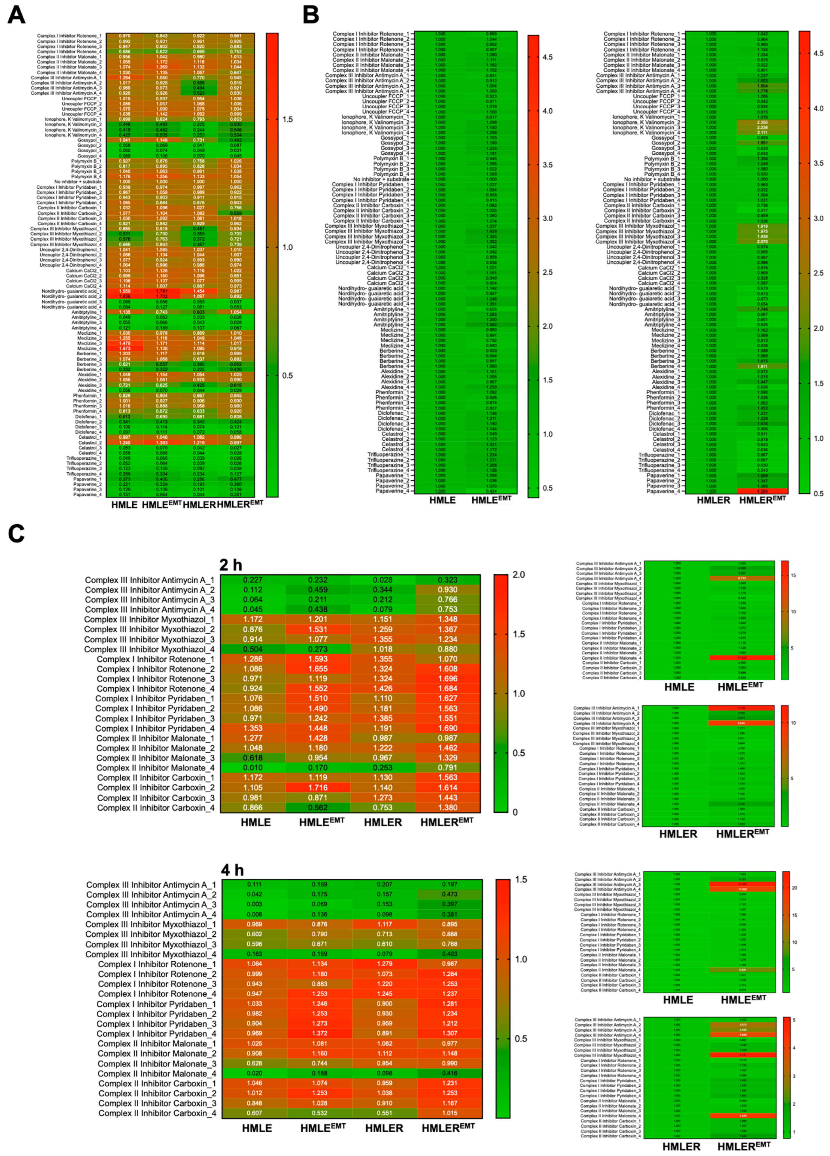 Cancers 14 06214 g008 Cancers 14 06214 g008