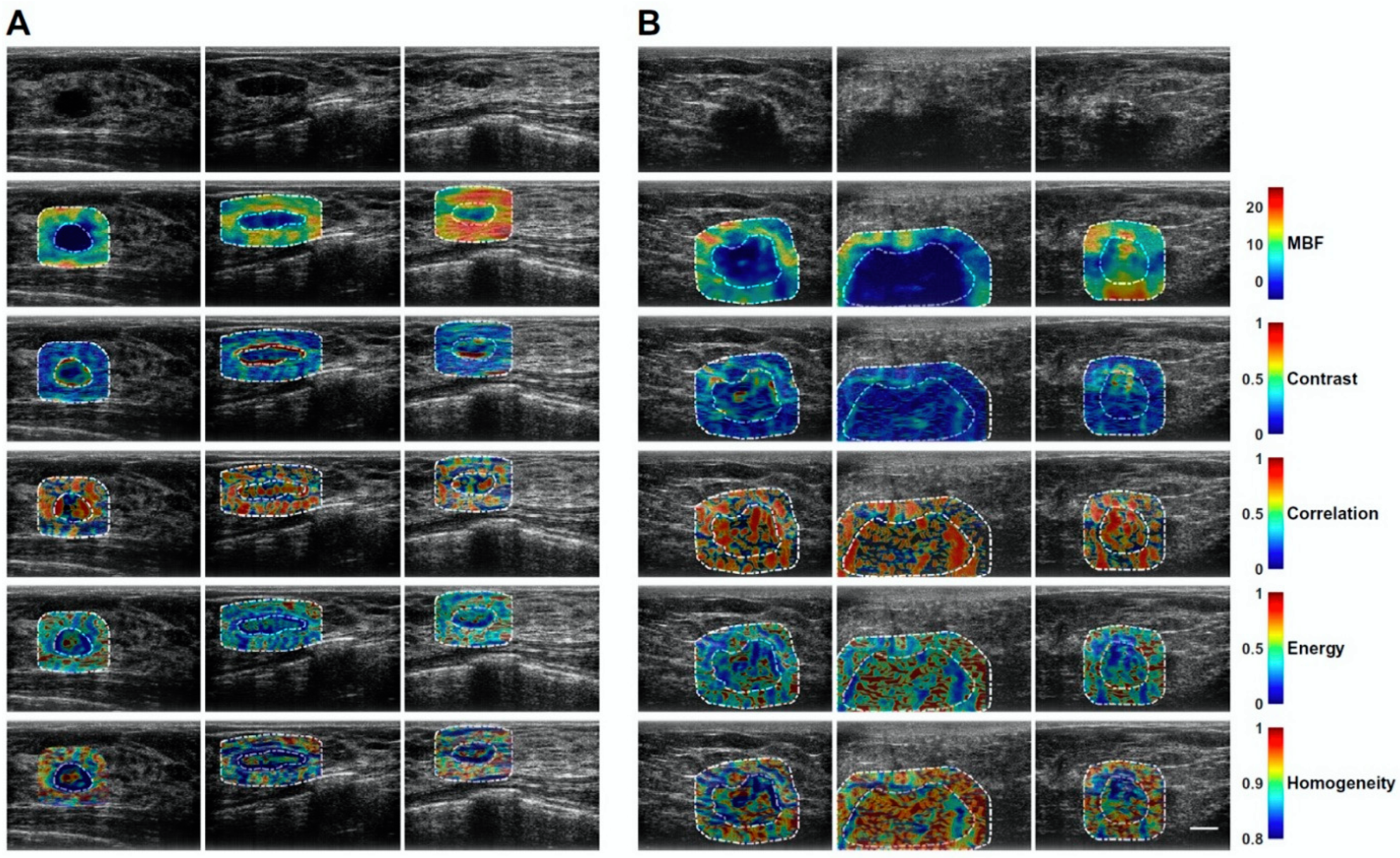 Cancers 14 06217 g003 Cancers 14 06217 g003