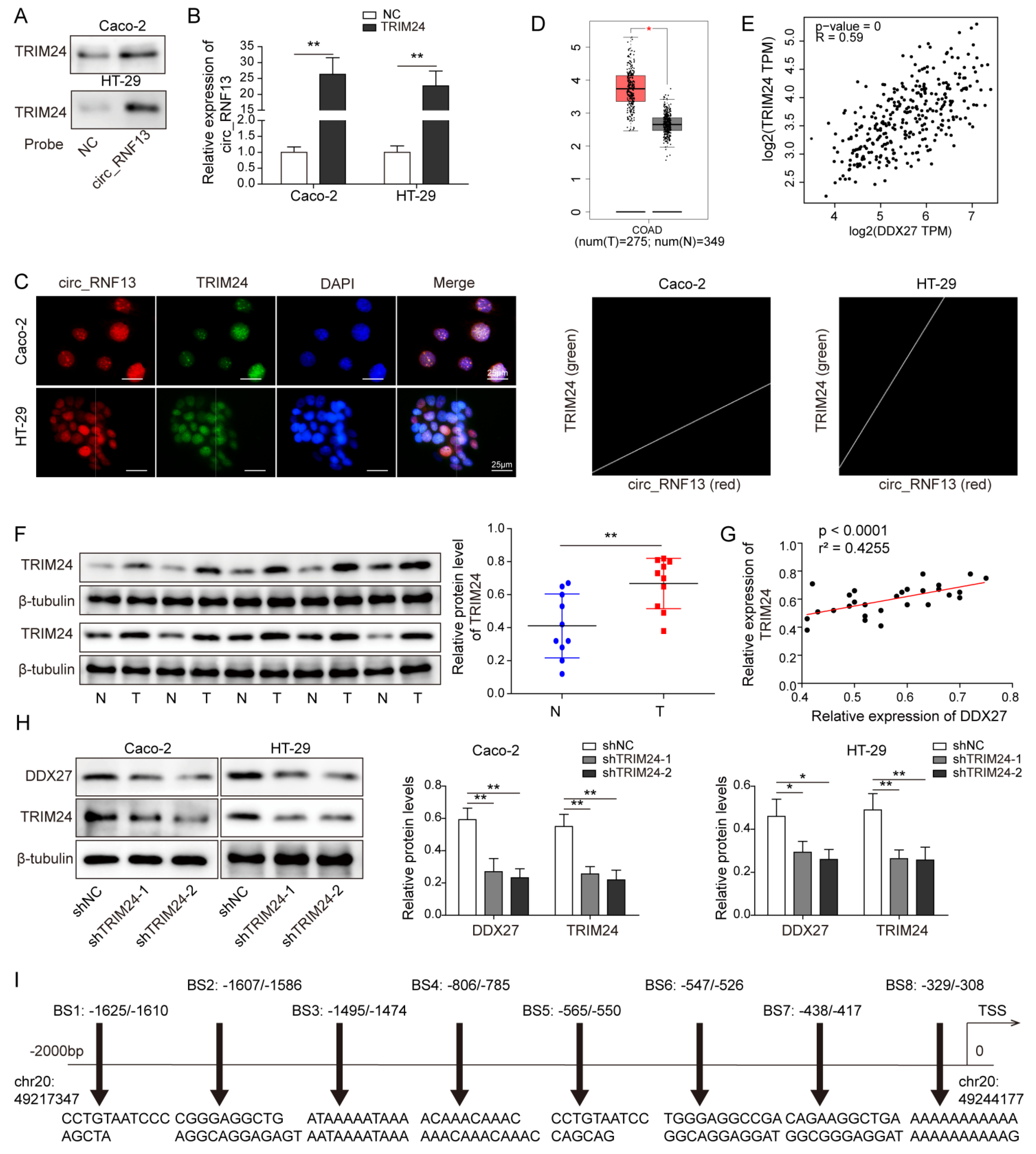 Cancers 14 06218 g005a Cancers 14 06218 g005a