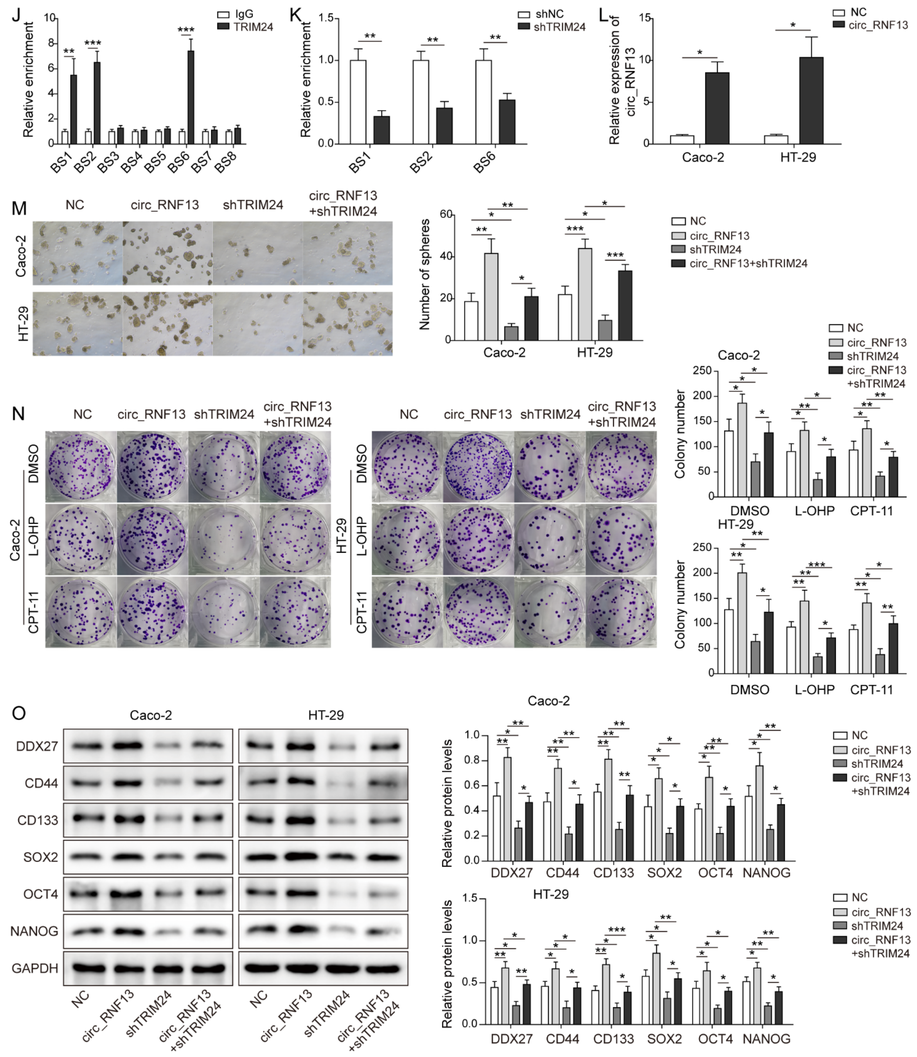 Cancers 14 06218 g005b Cancers 14 06218 g005b