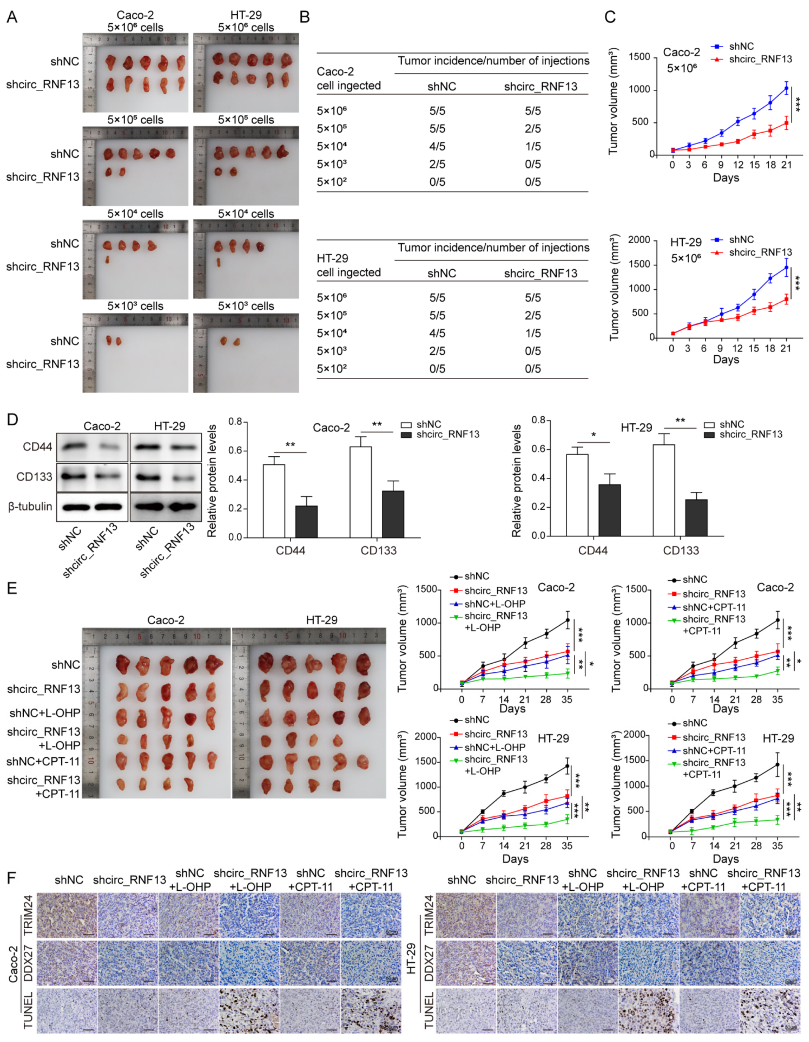 Cancers 14 06218 g007 Cancers 14 06218 g007