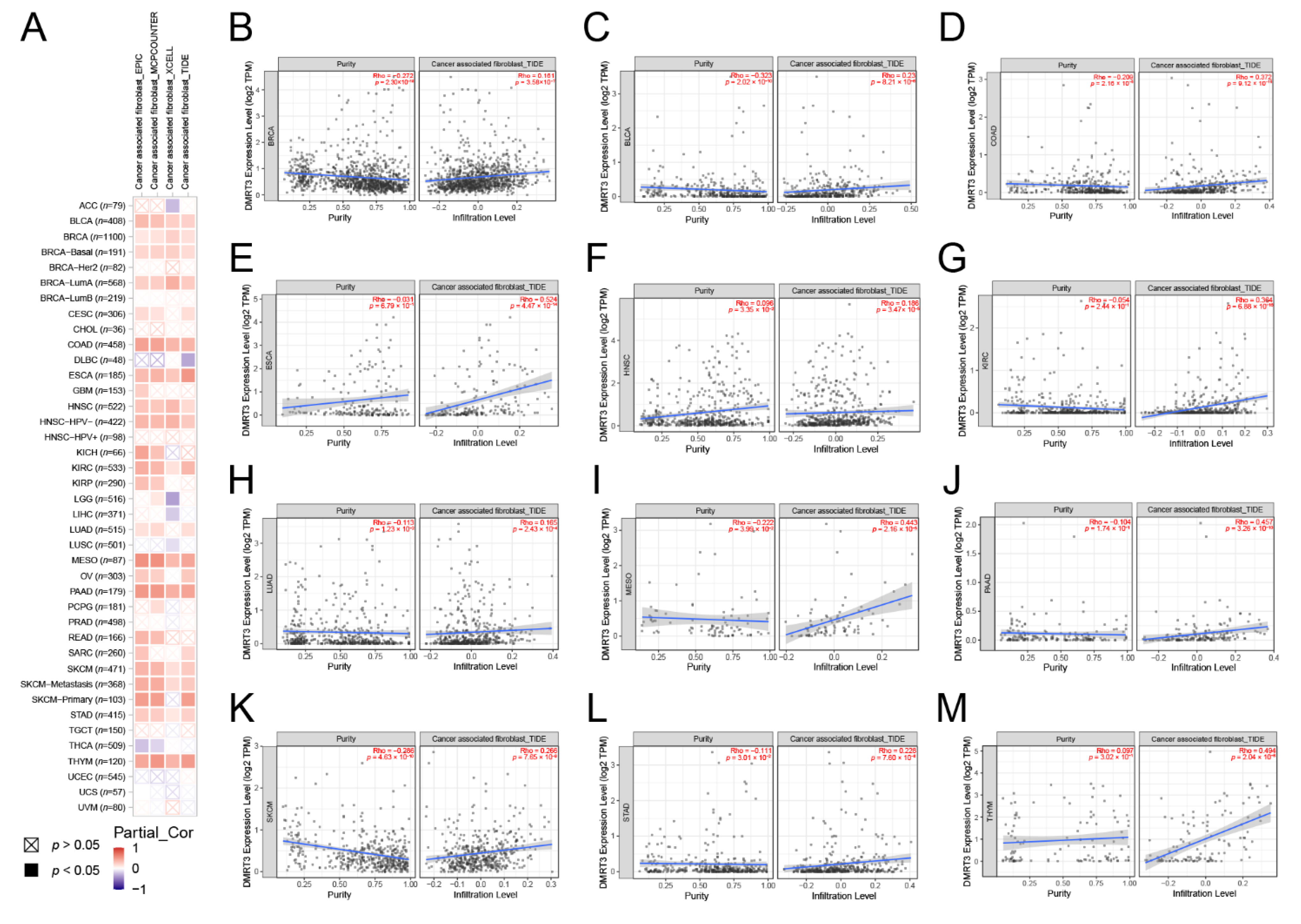 Cancers 14 06220 g007 Cancers 14 06220 g007