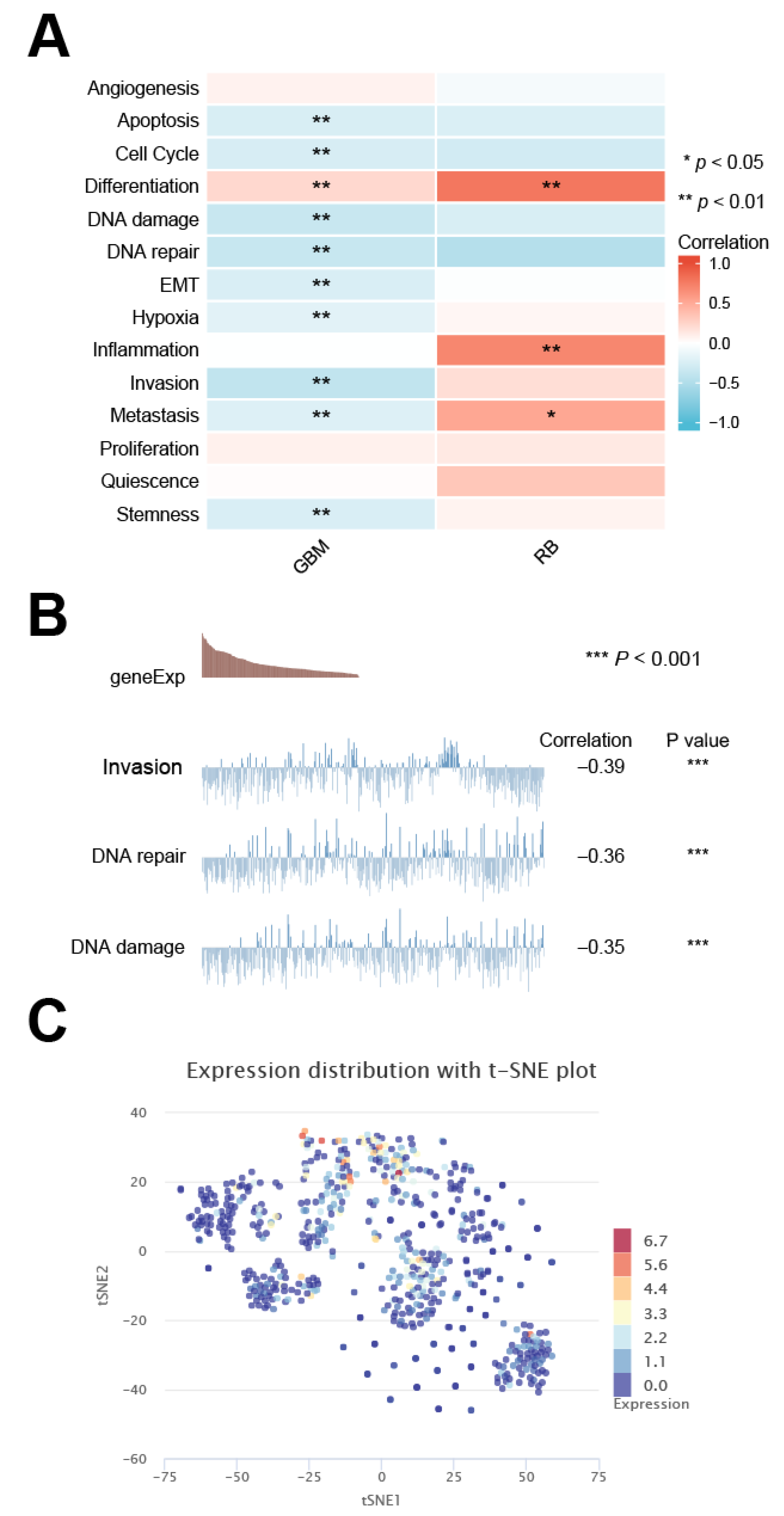 Cancers 14 06220 g010 Cancers 14 06220 g010