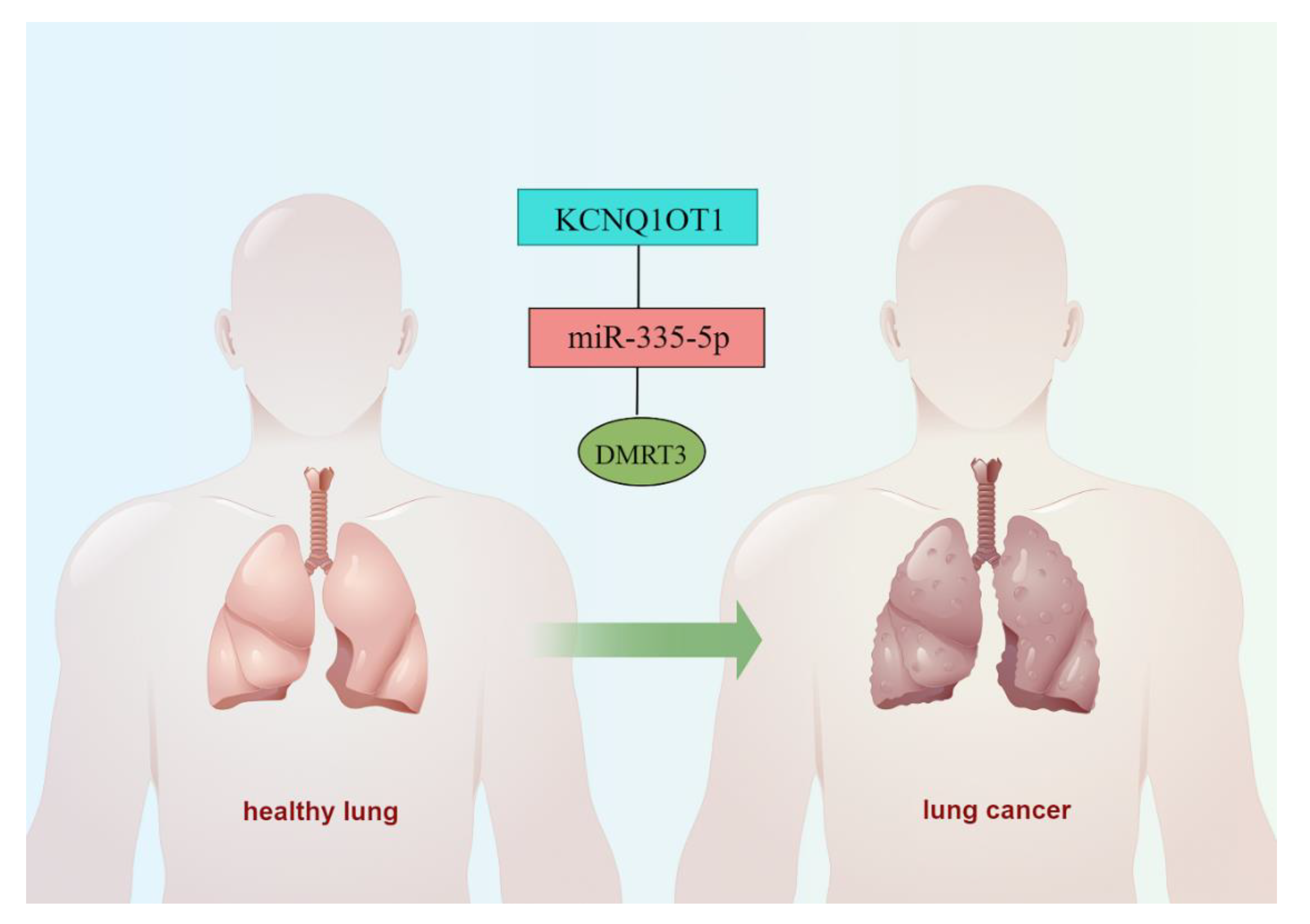 Cancers 14 06220 g012 Cancers 14 06220 g012