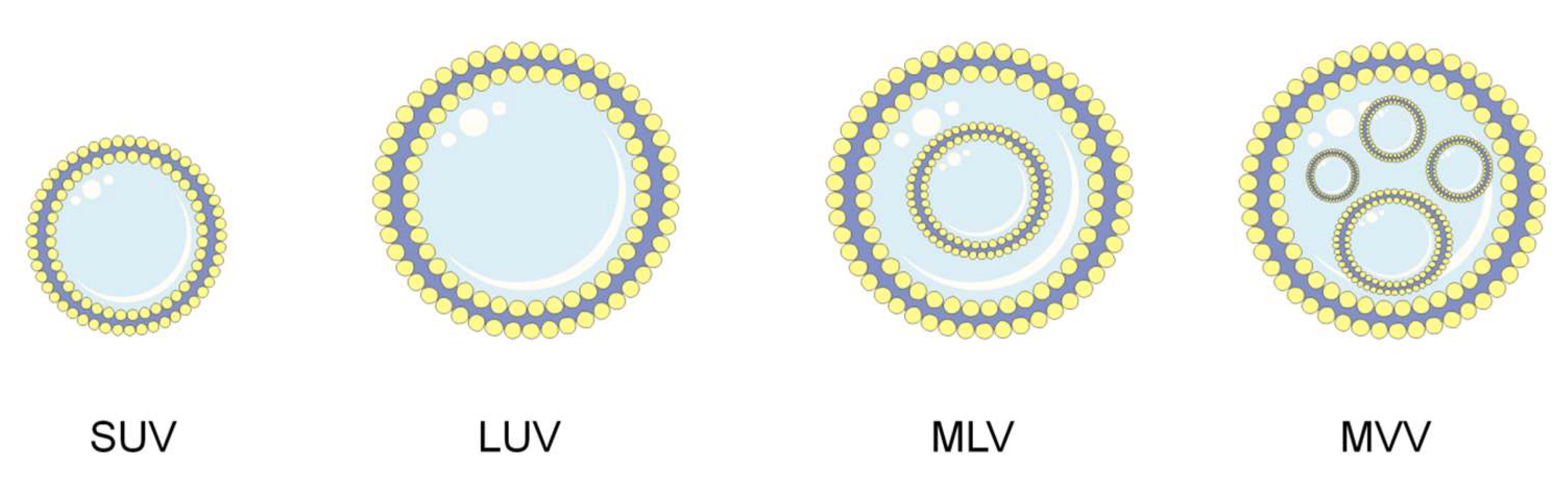 Cancers 14 06222 g002 Cancers 14 06222 g002