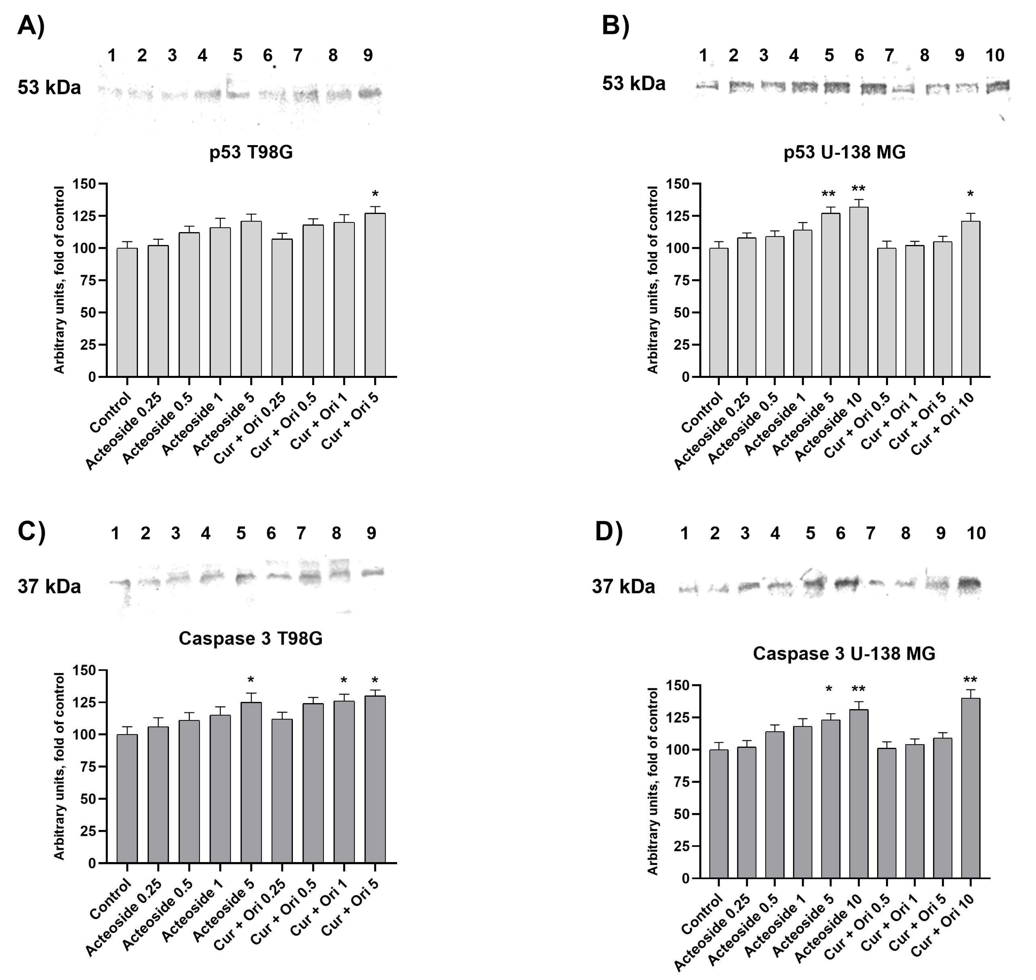Cancers 14 06222 g011 Cancers 14 06222 g011