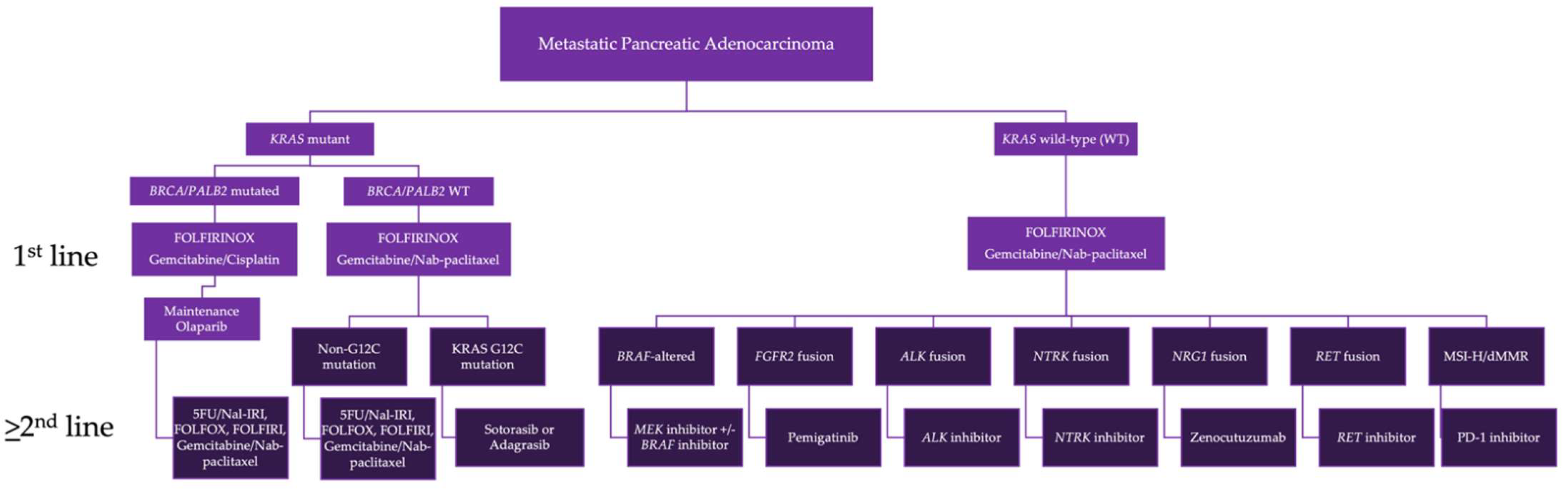 Cancers 14 06223 g002