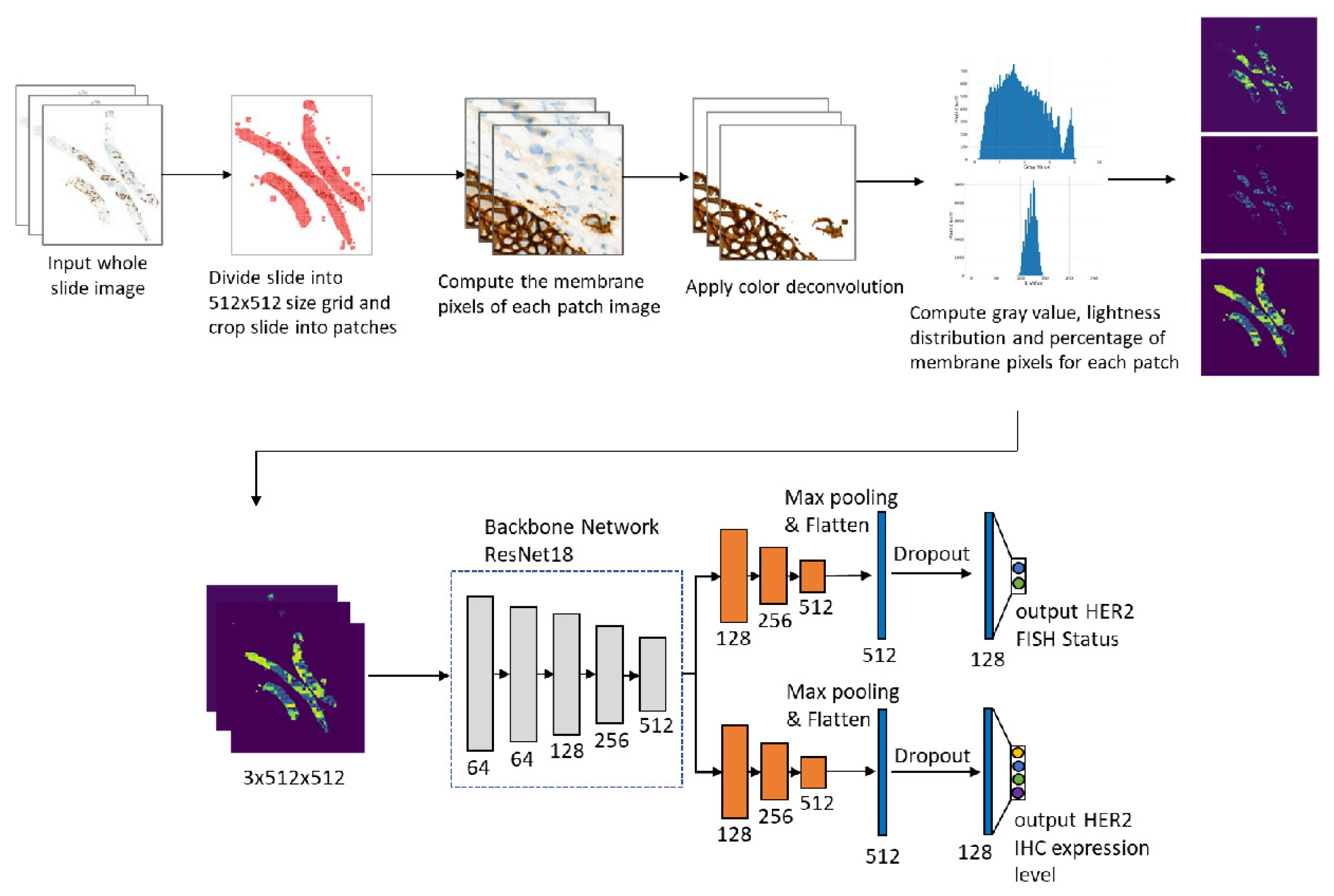 Cancers 14 06233 g001
