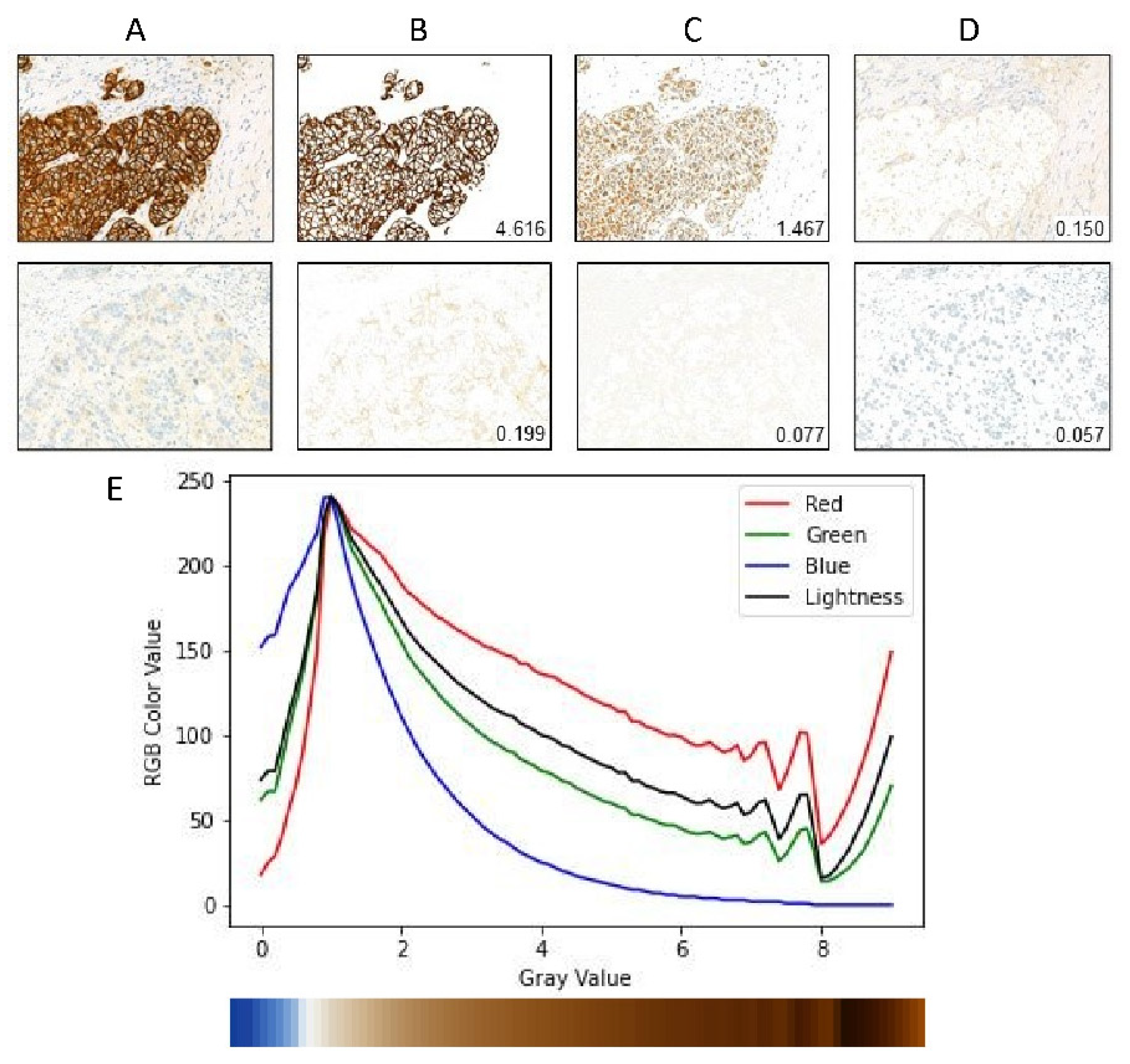 Cancers 14 06233 g002