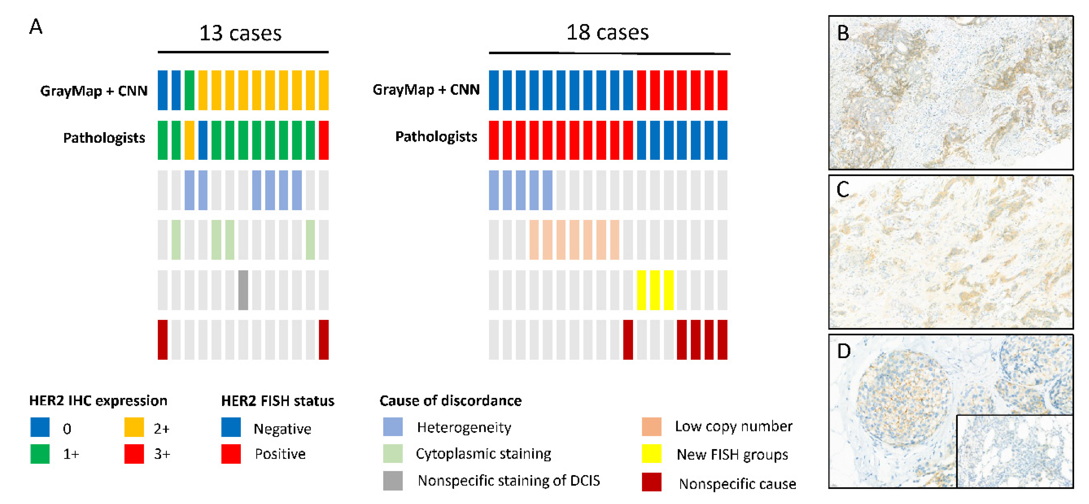 Cancers 14 06233 g006