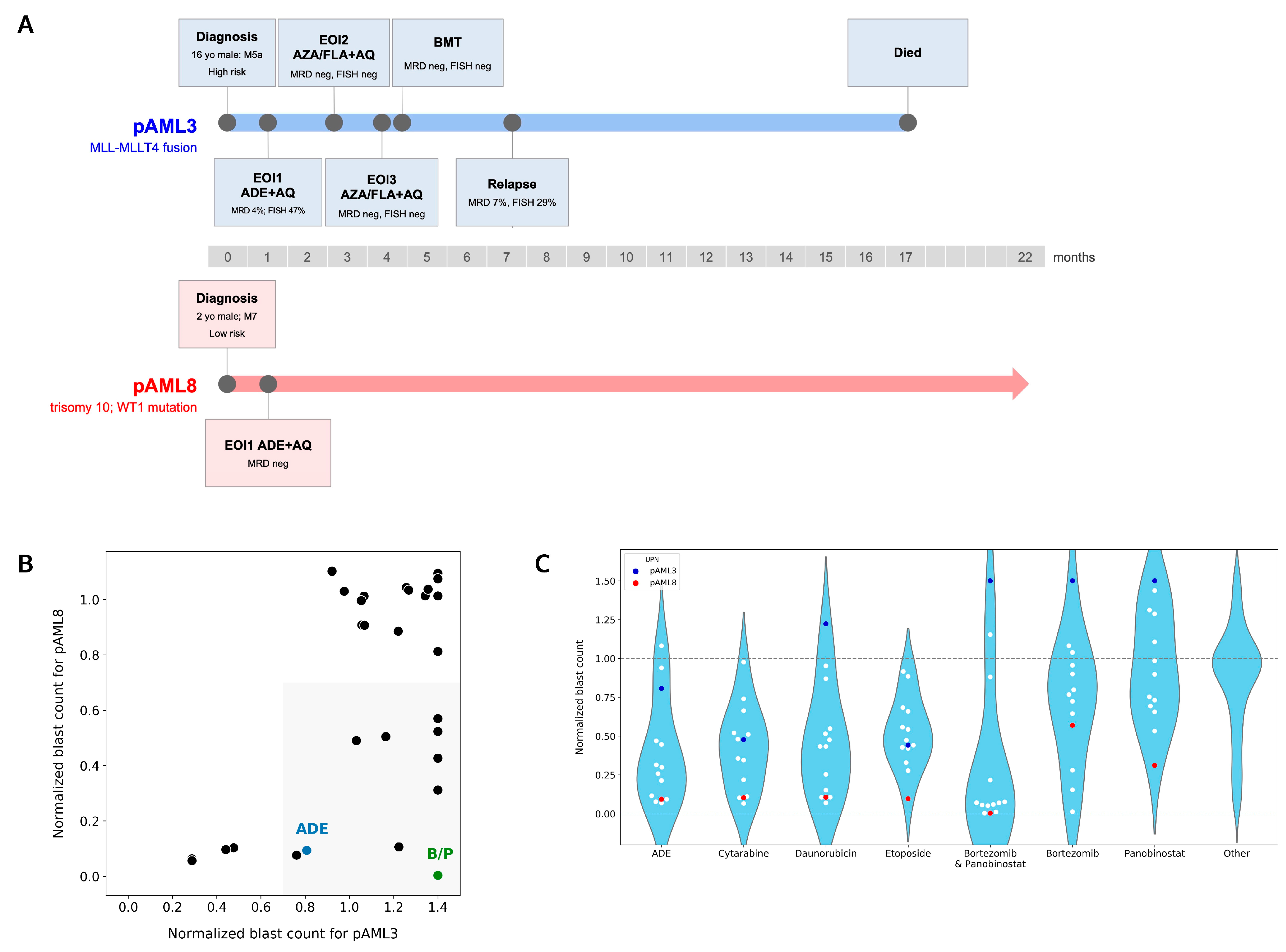 Cancers 14 06240 g003 Cancers 14 06240 g003