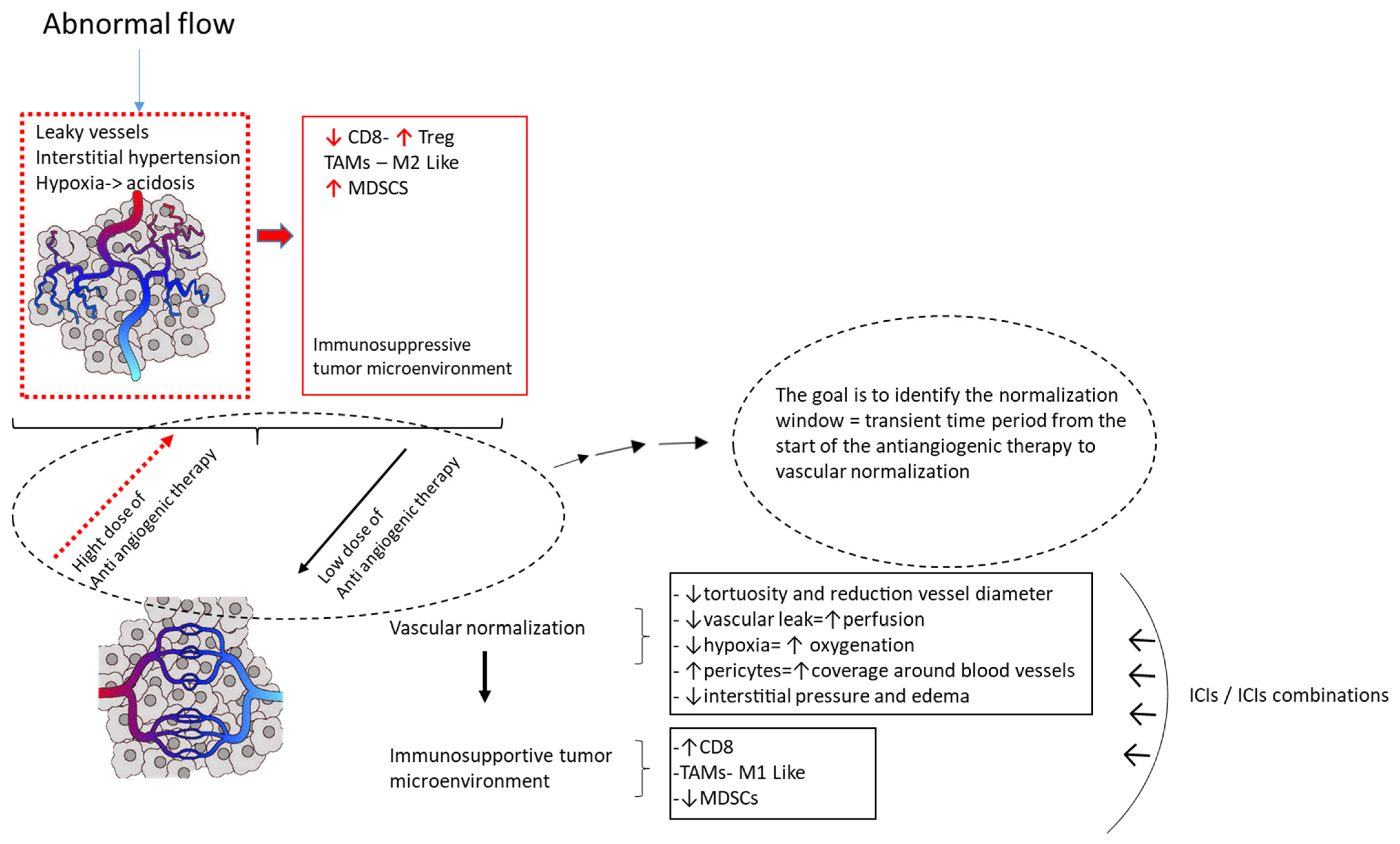 Cancers 14 06245 g002 Cancers 14 06245 g002