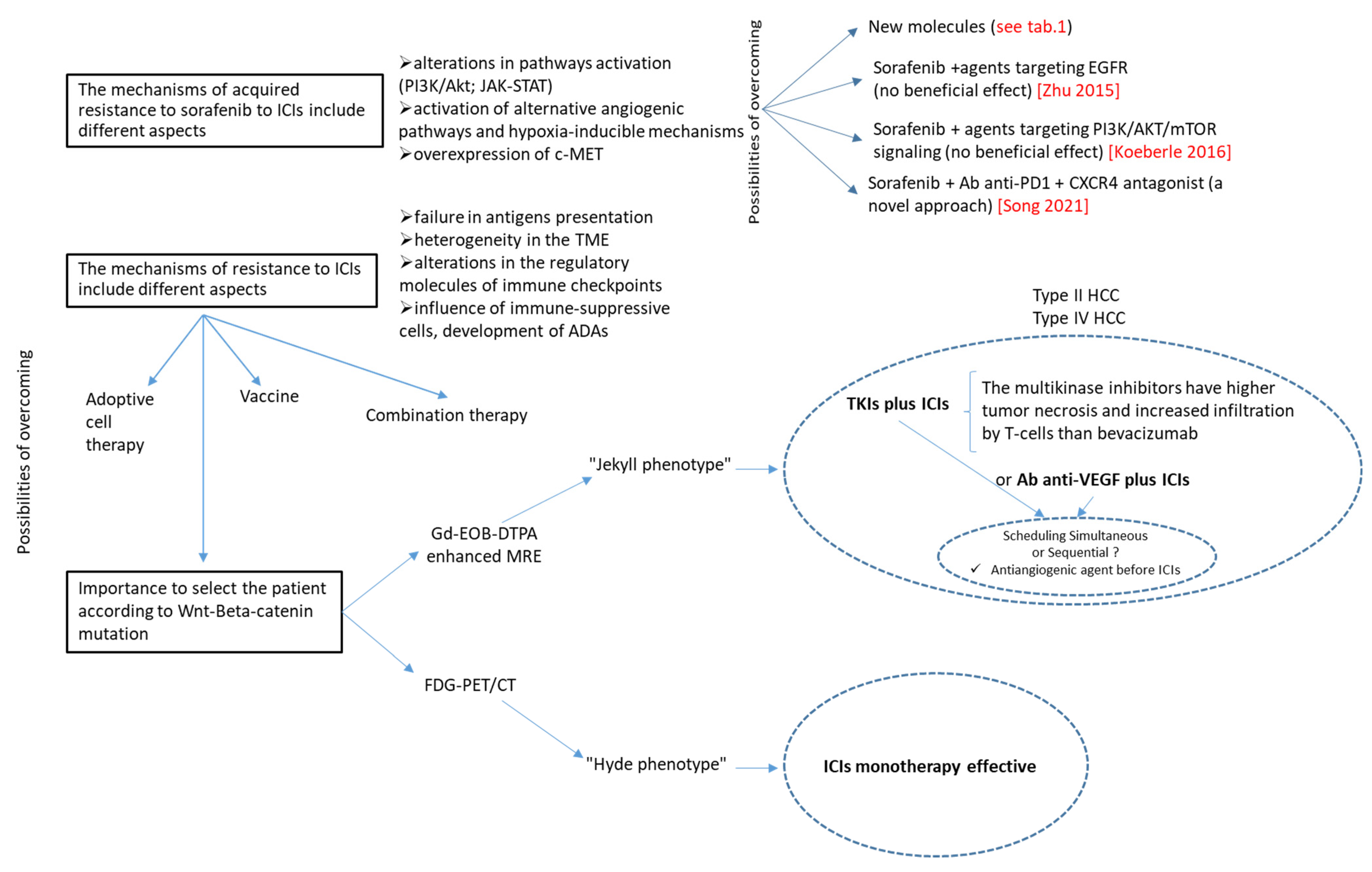 Cancers 14 06245 g004 Cancers 14 06245 g004