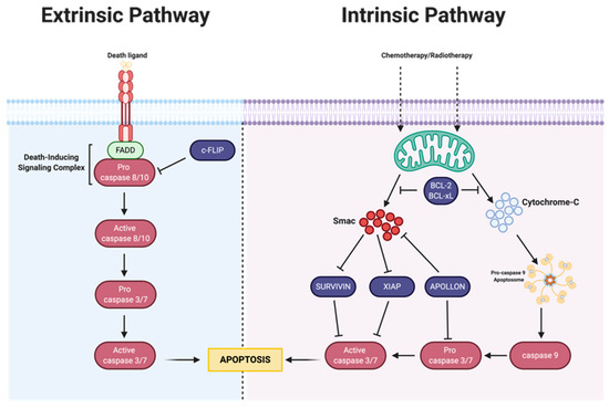 Mechanisms of Drug Resistance in Ovarian Cancer and Associated Gene Targets