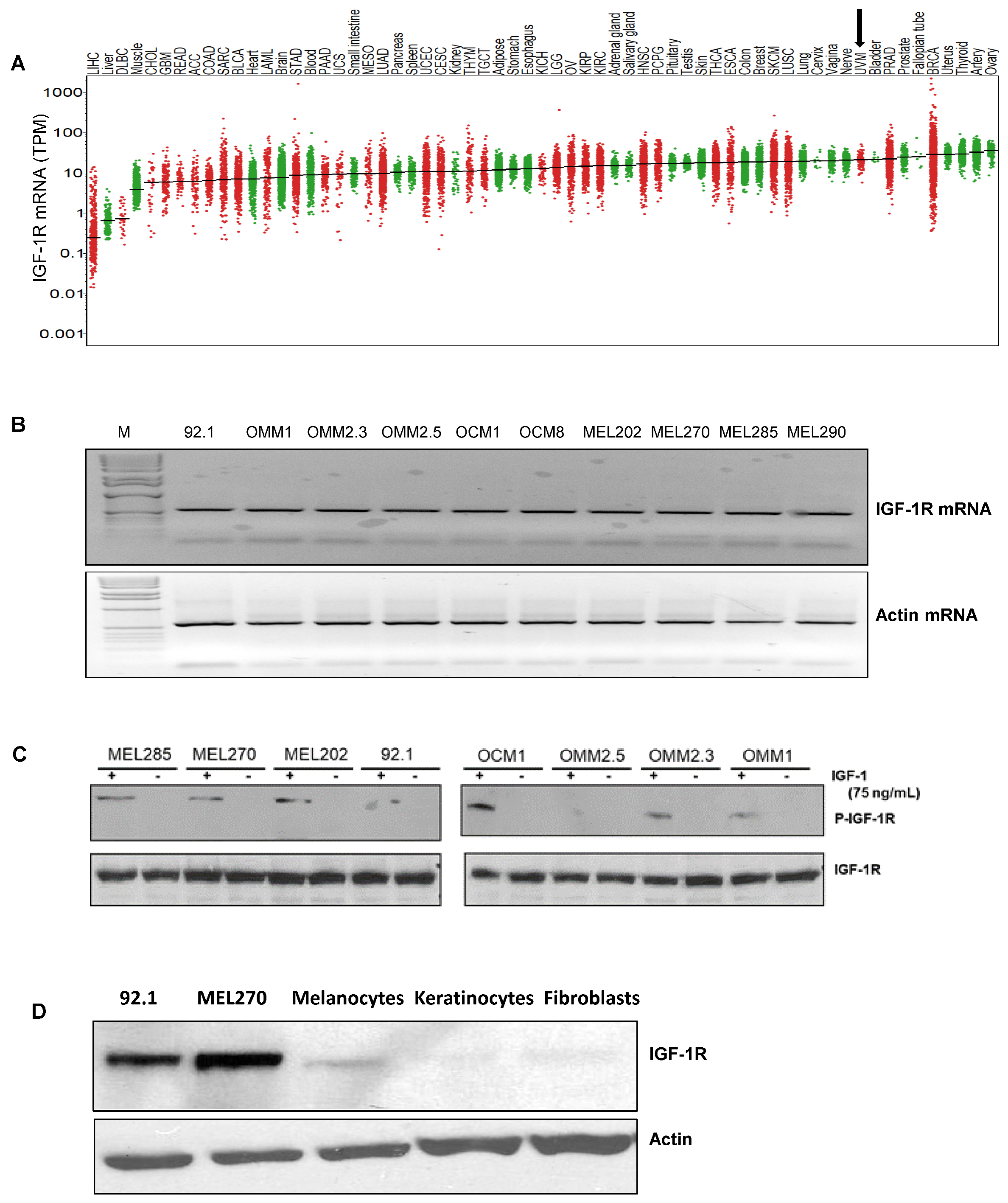 Cancers 14 06247 g001a Cancers 14 06247 g001a