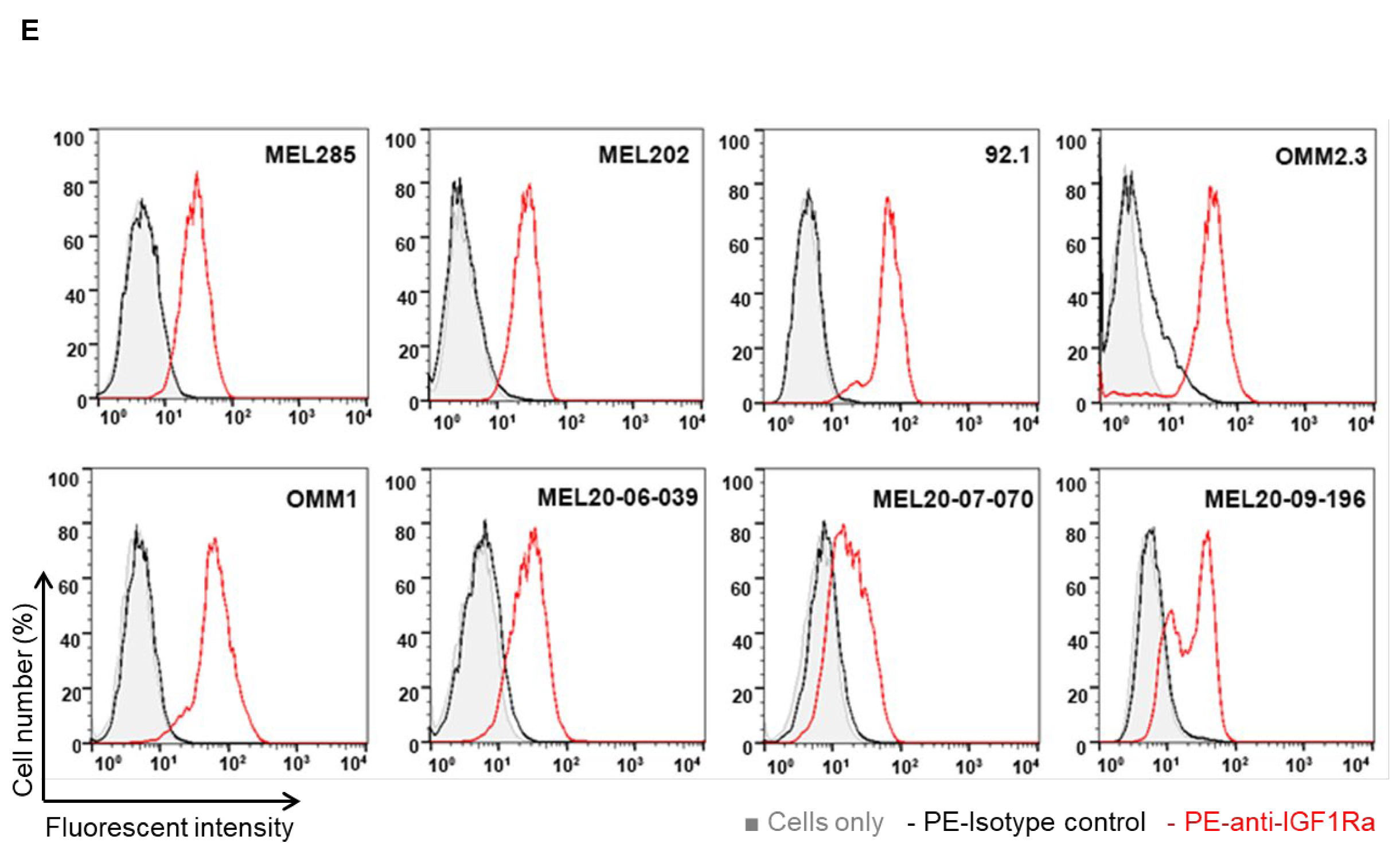 Cancers 14 06247 g001b Cancers 14 06247 g001b
