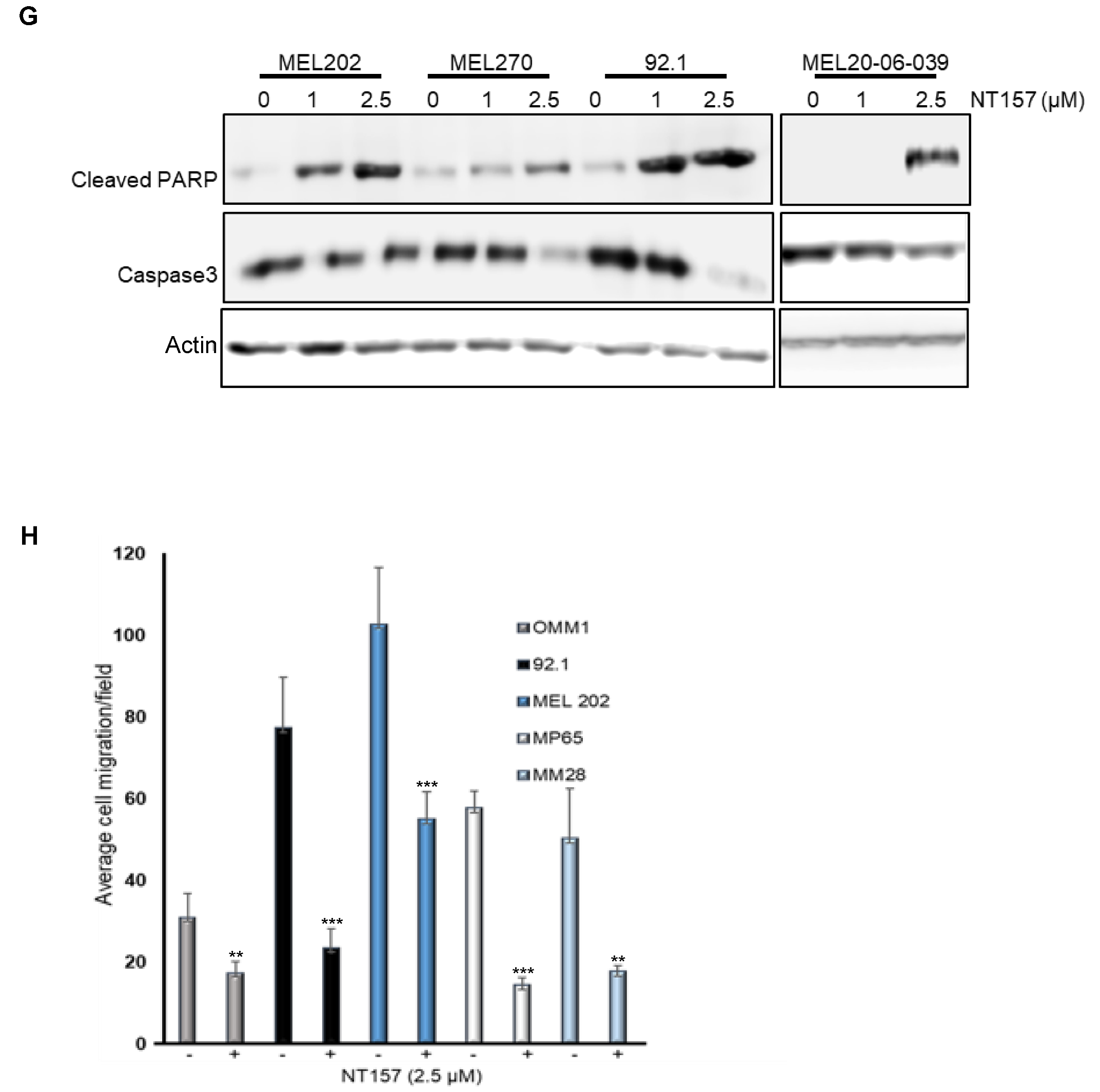 Cancers 14 06247 g002c Cancers 14 06247 g002c
