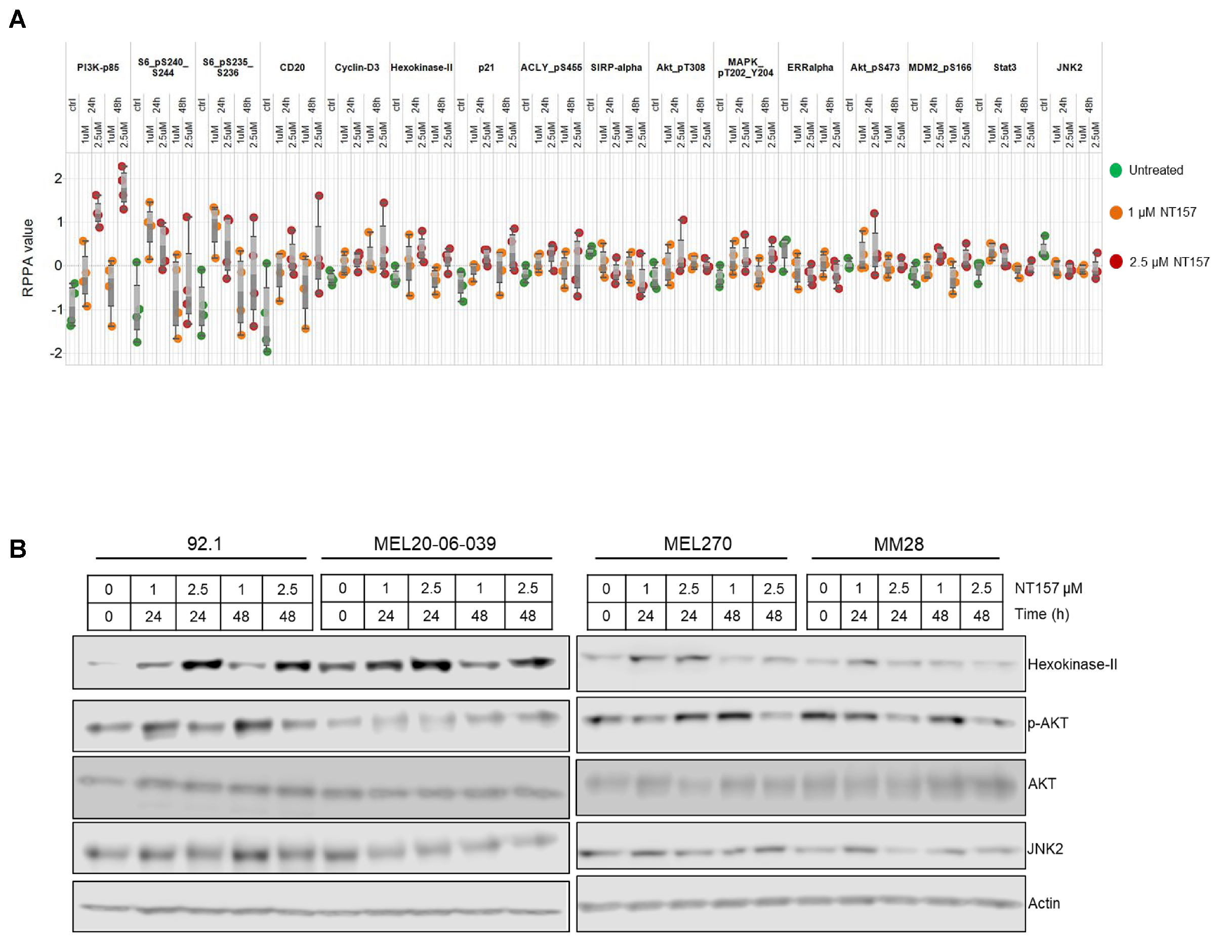 Cancers 14 06247 g003 Cancers 14 06247 g003