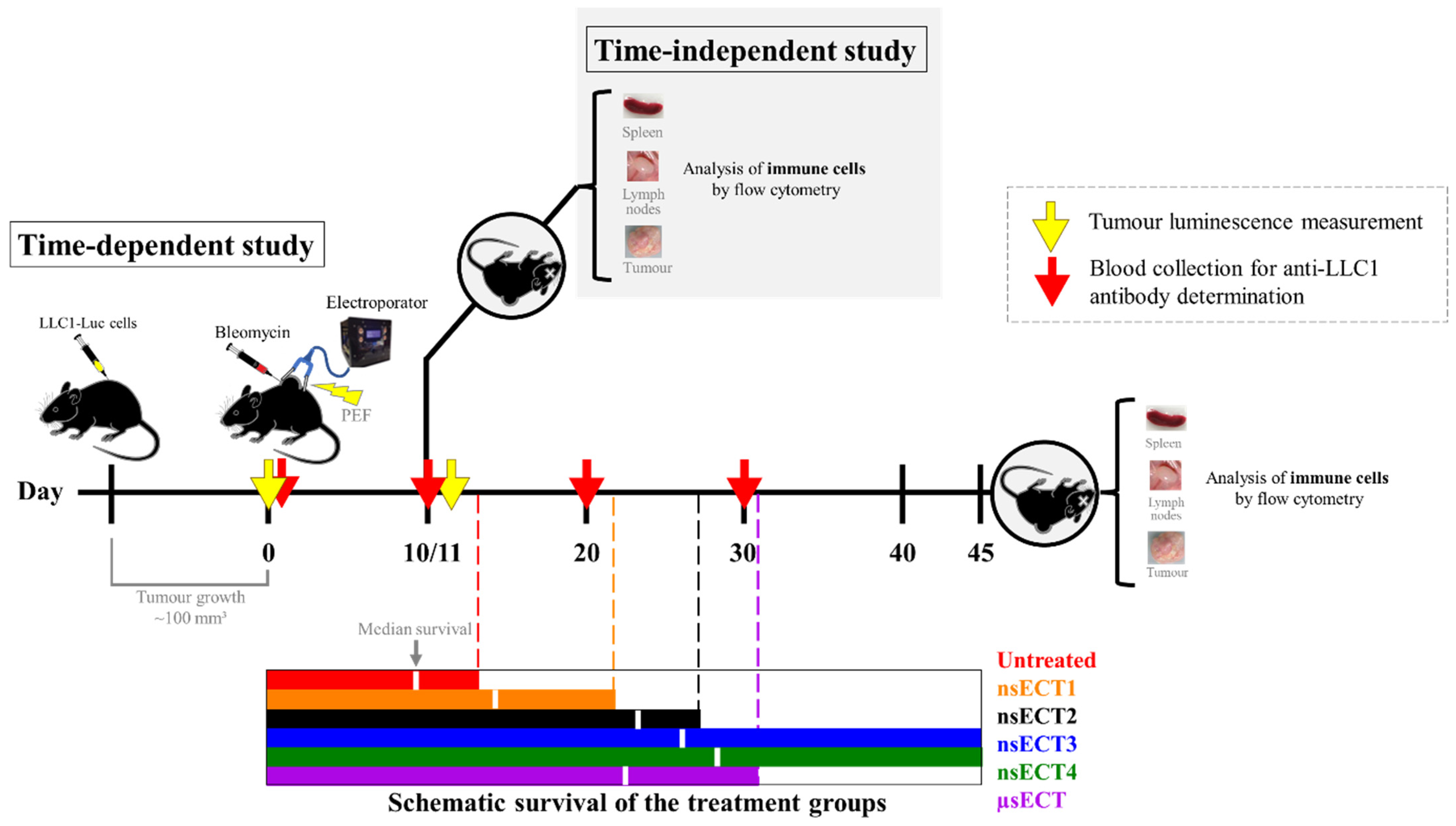 Cancers 14 06254 g001 Cancers 14 06254 g001