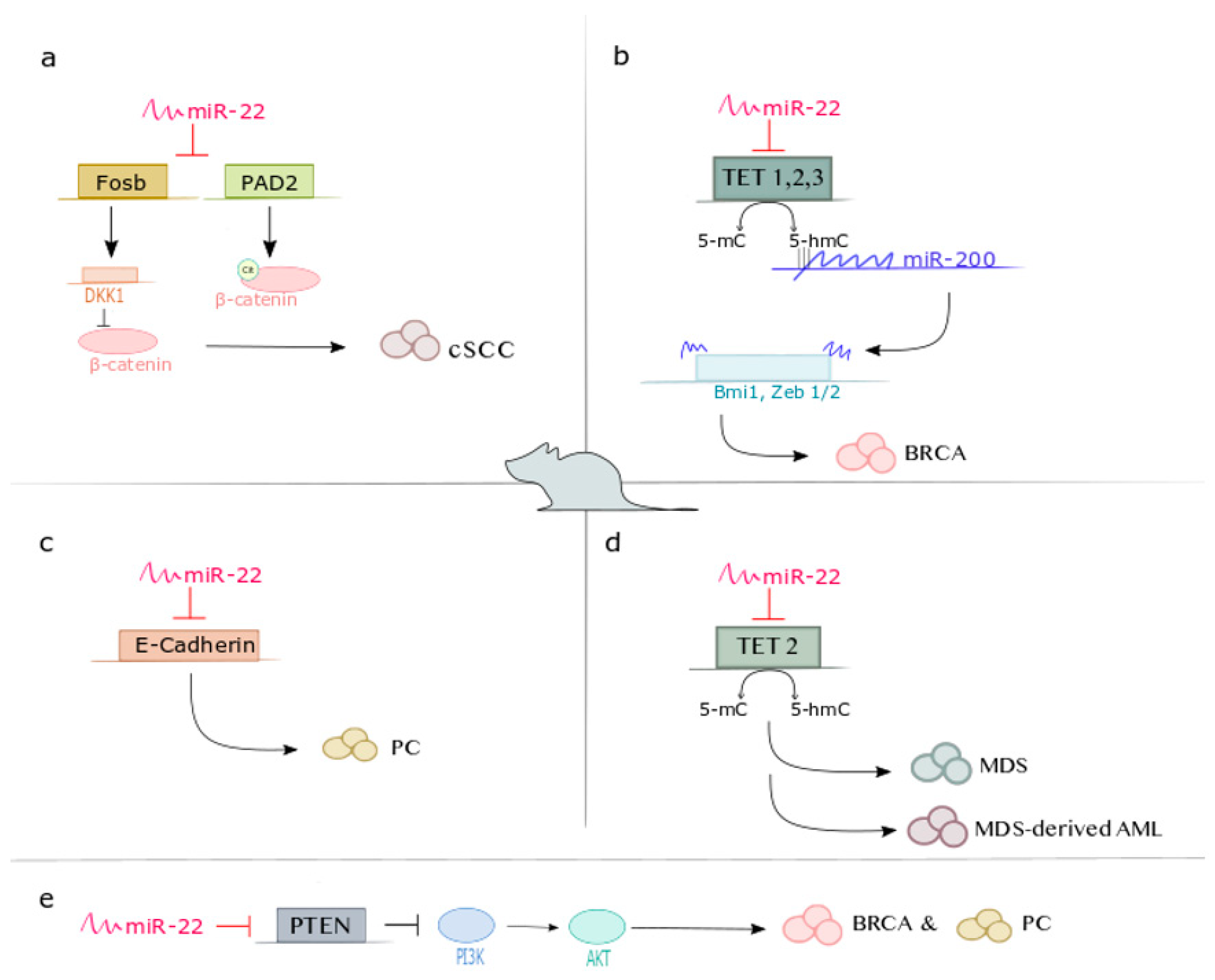 Cancers 14 06255 g002 Cancers 14 06255 g002