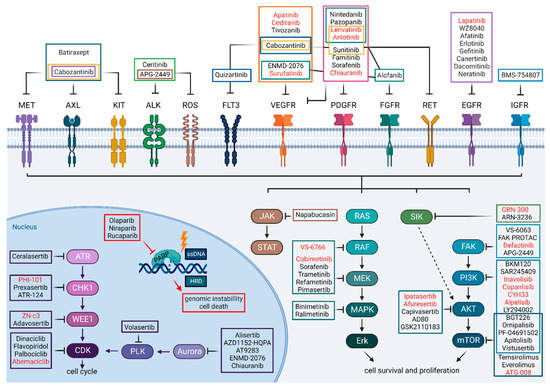 Kinase Inhibitors in the Treatment of ... Biology Diagrams