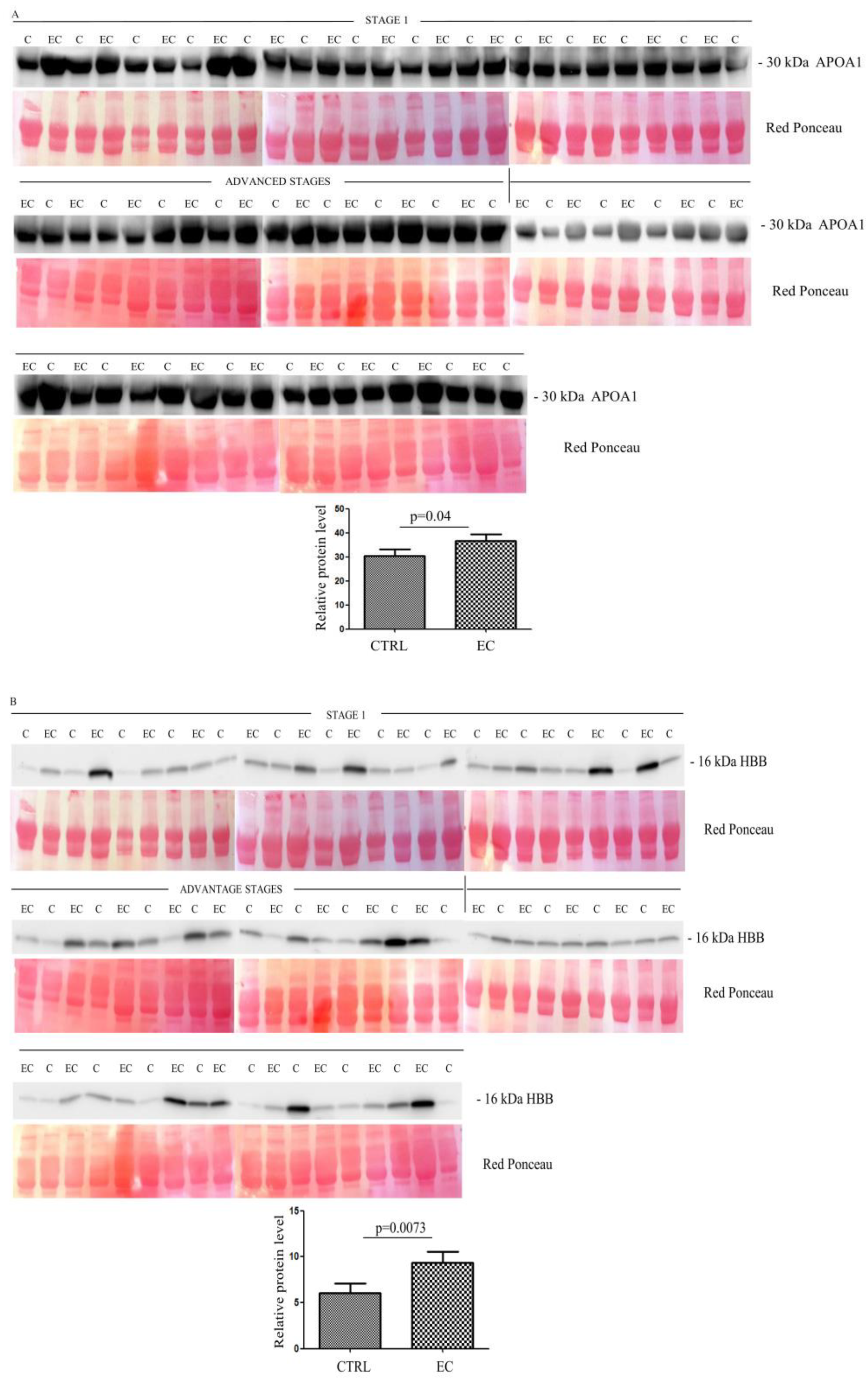 Cancers 14 06262 g002a