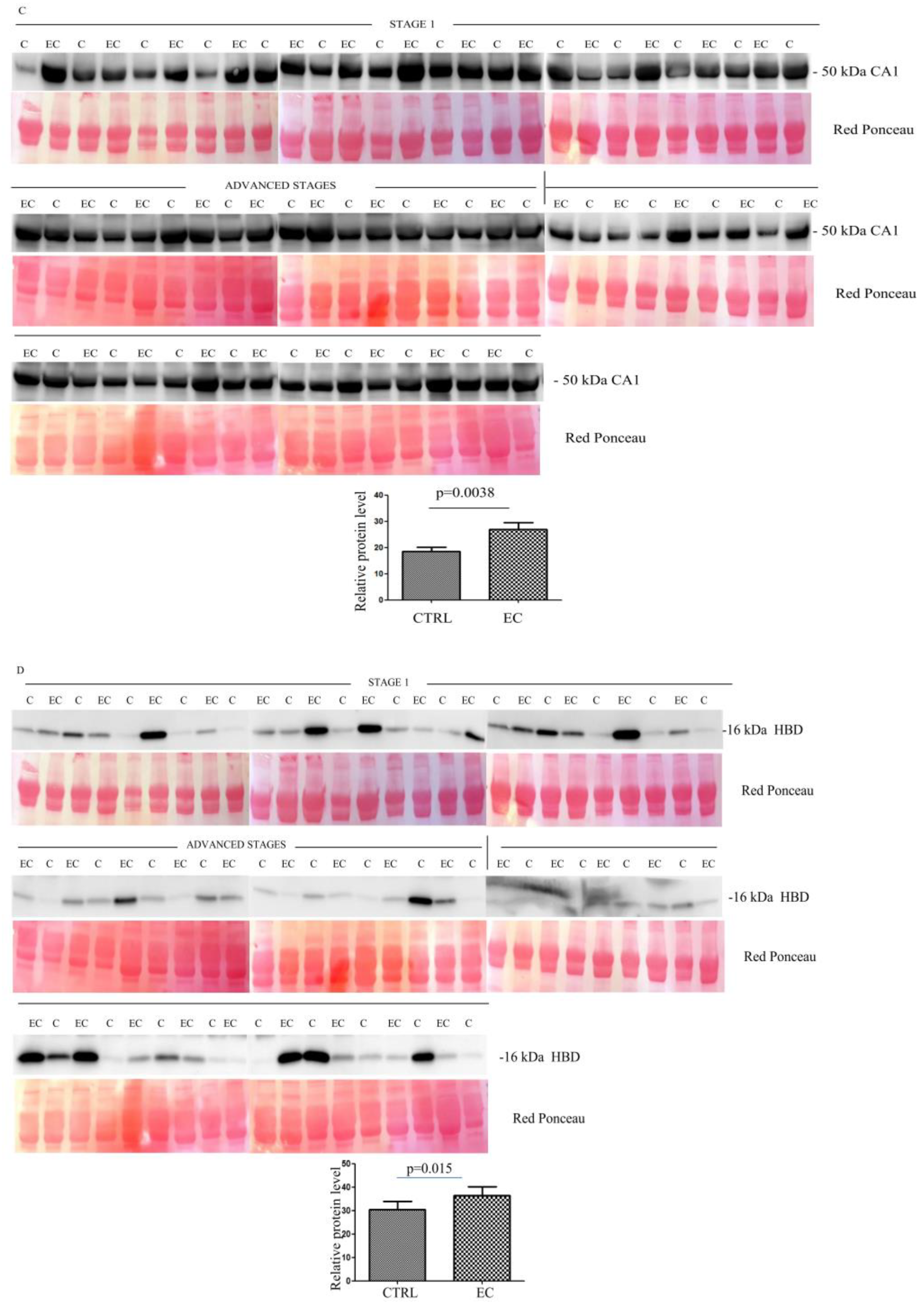 Cancers 14 06262 g002b