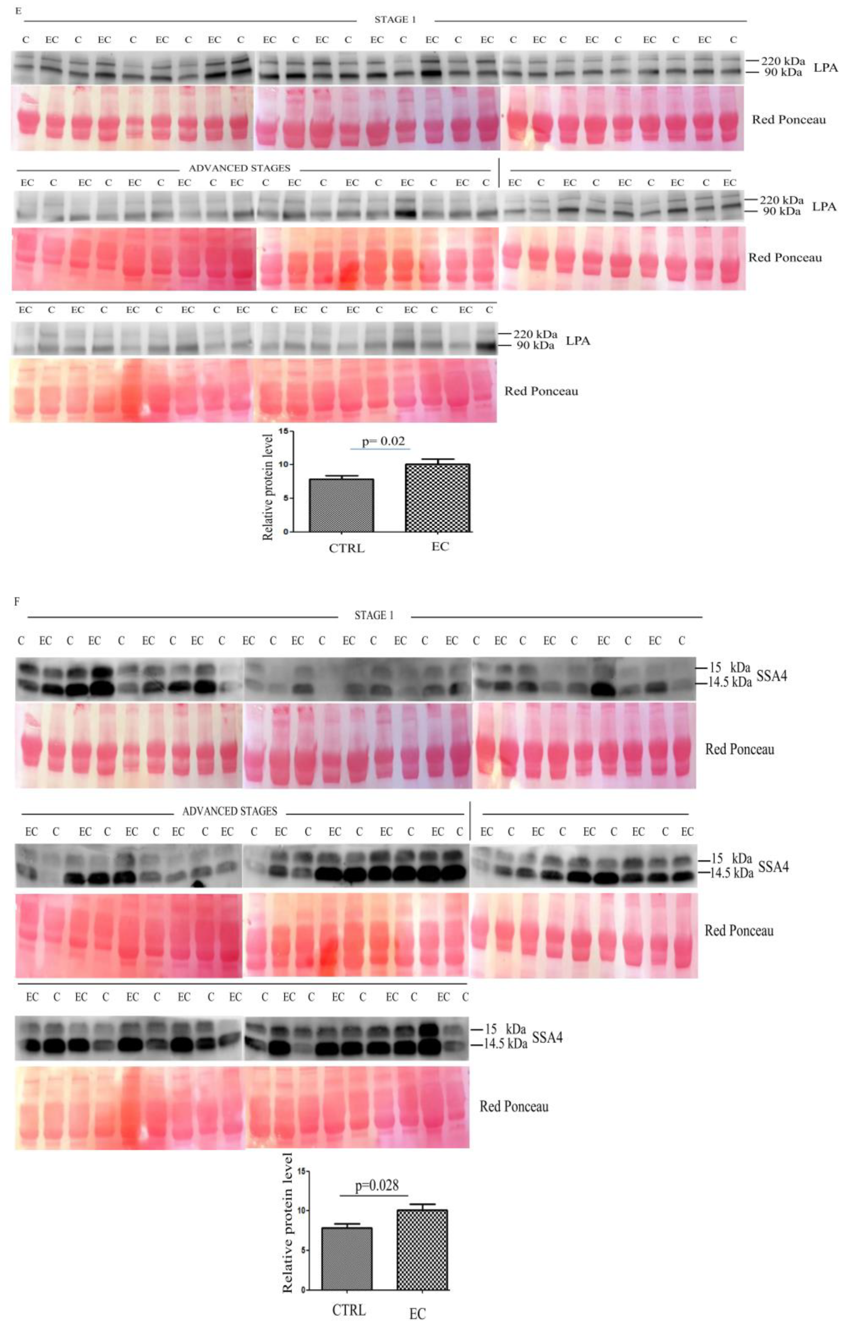 Cancers 14 06262 g002c