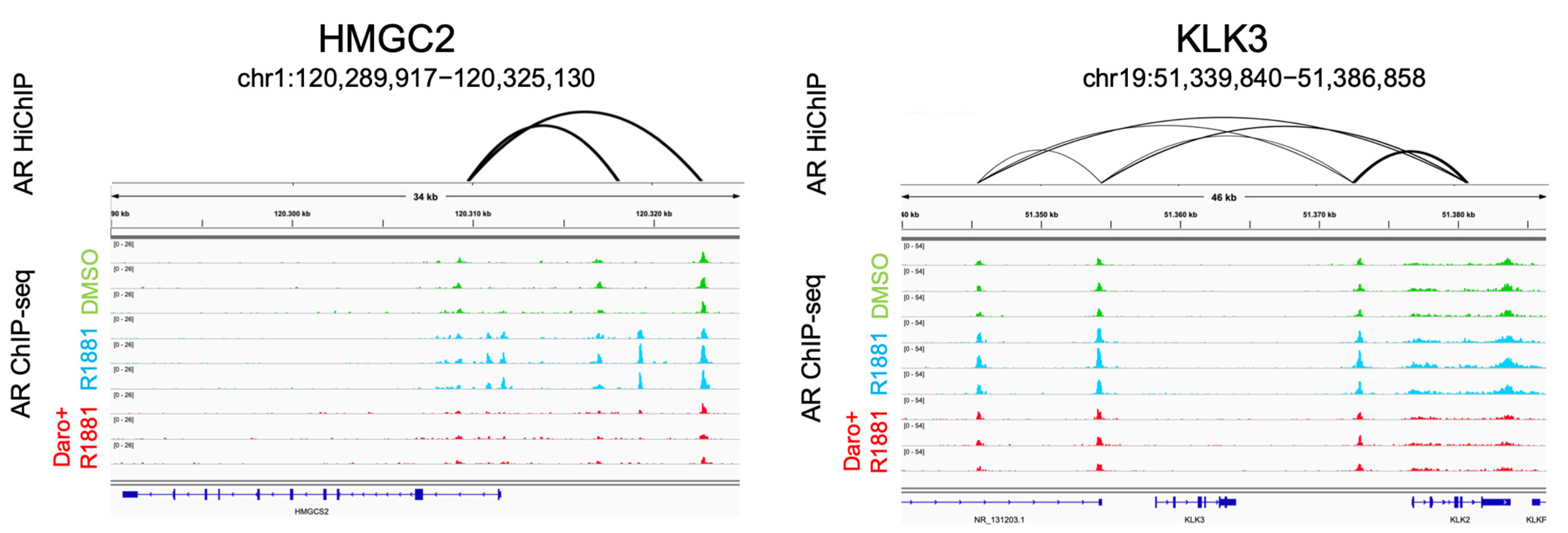Cancers 15 00002 g006b