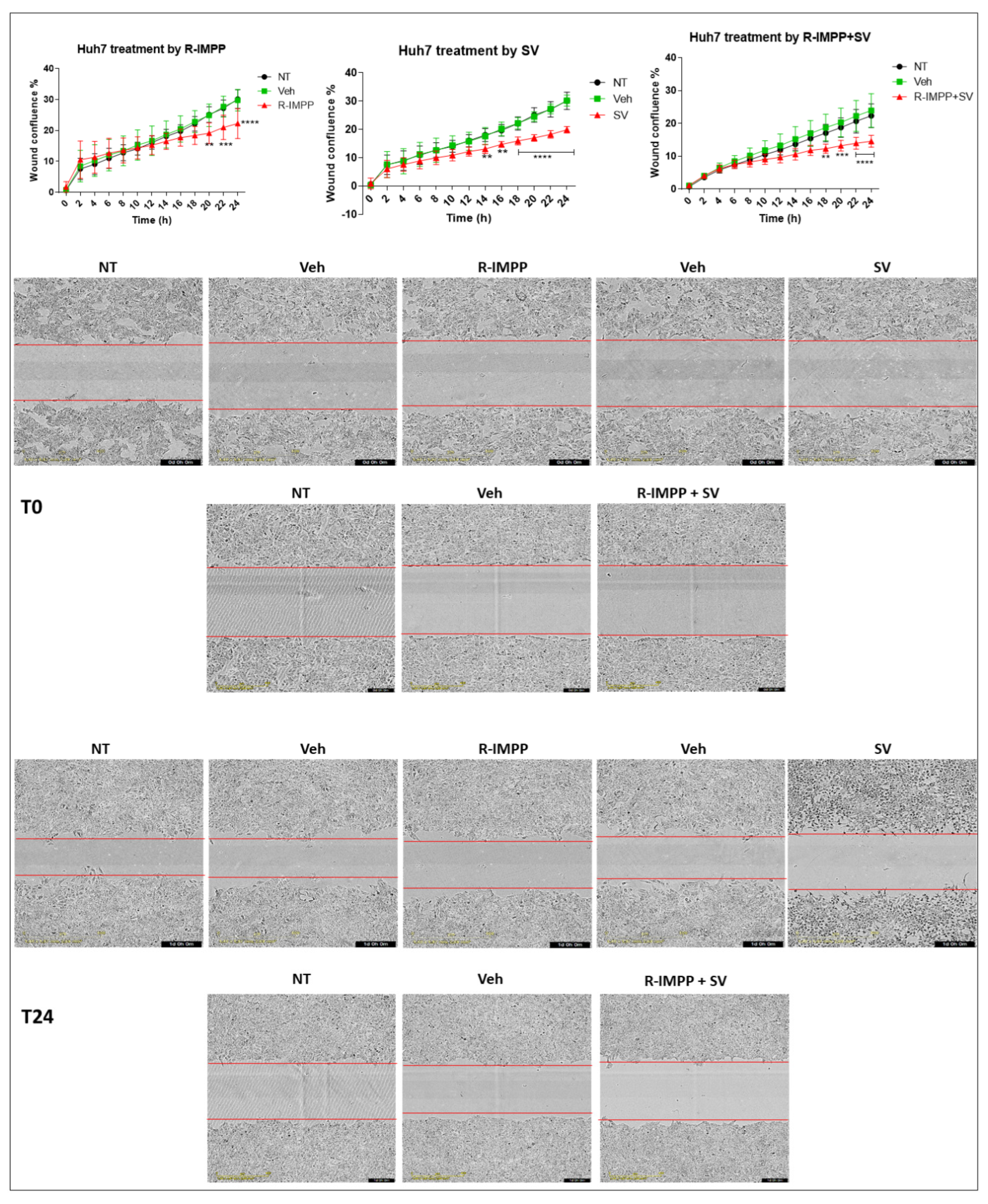 Cancers 15 00003 g003
