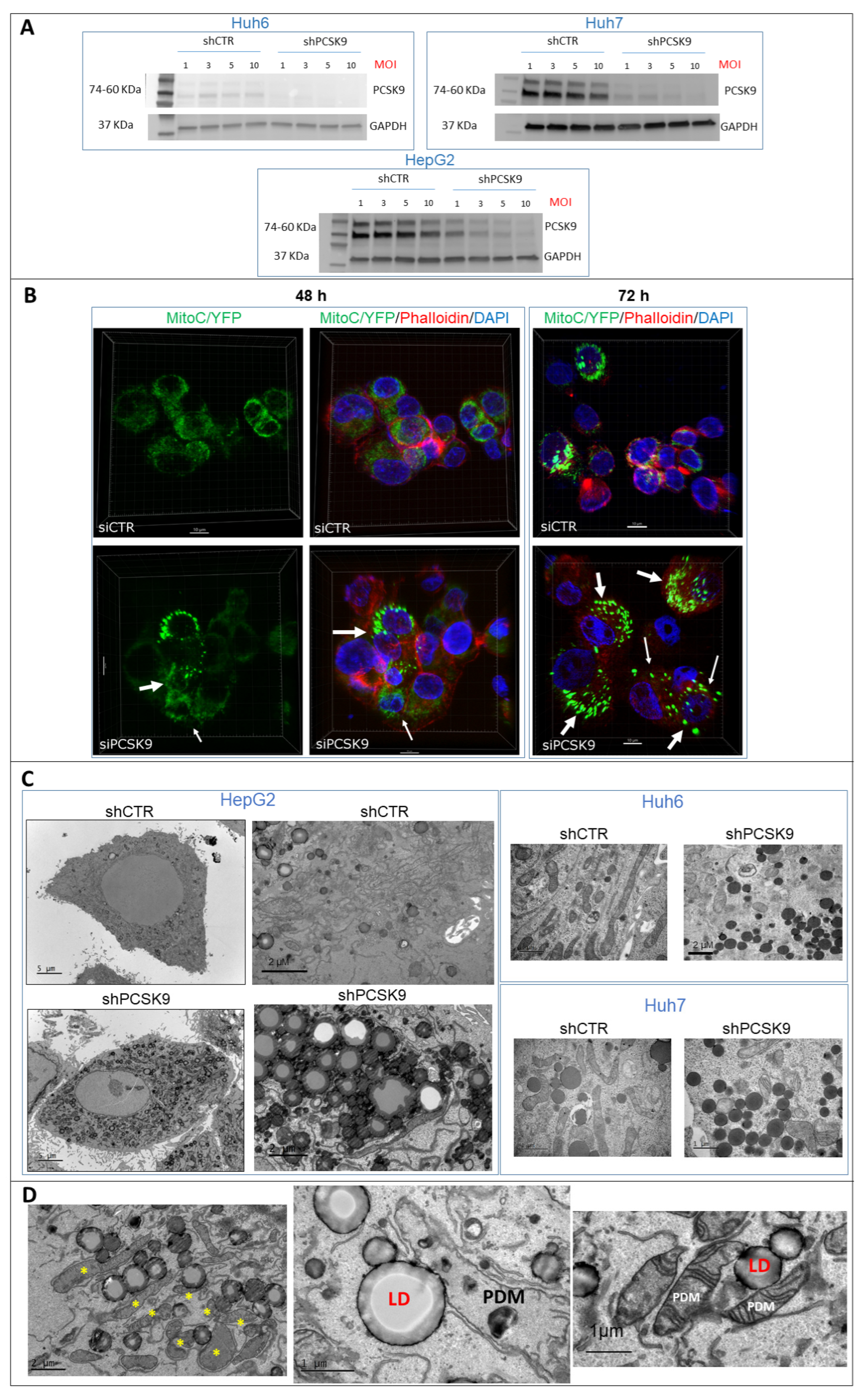 Cancers 15 00003 g005