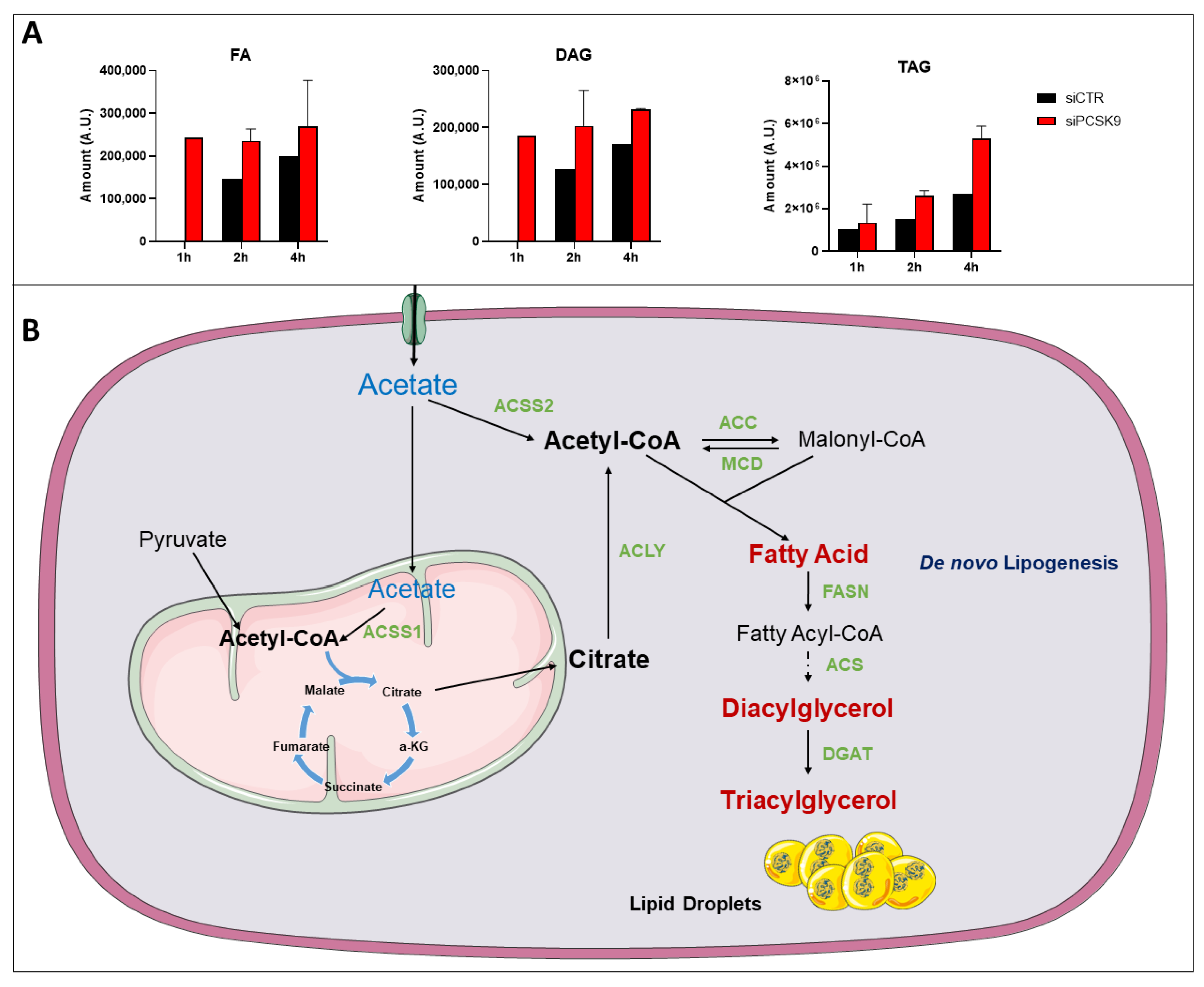 Cancers 15 00003 g006