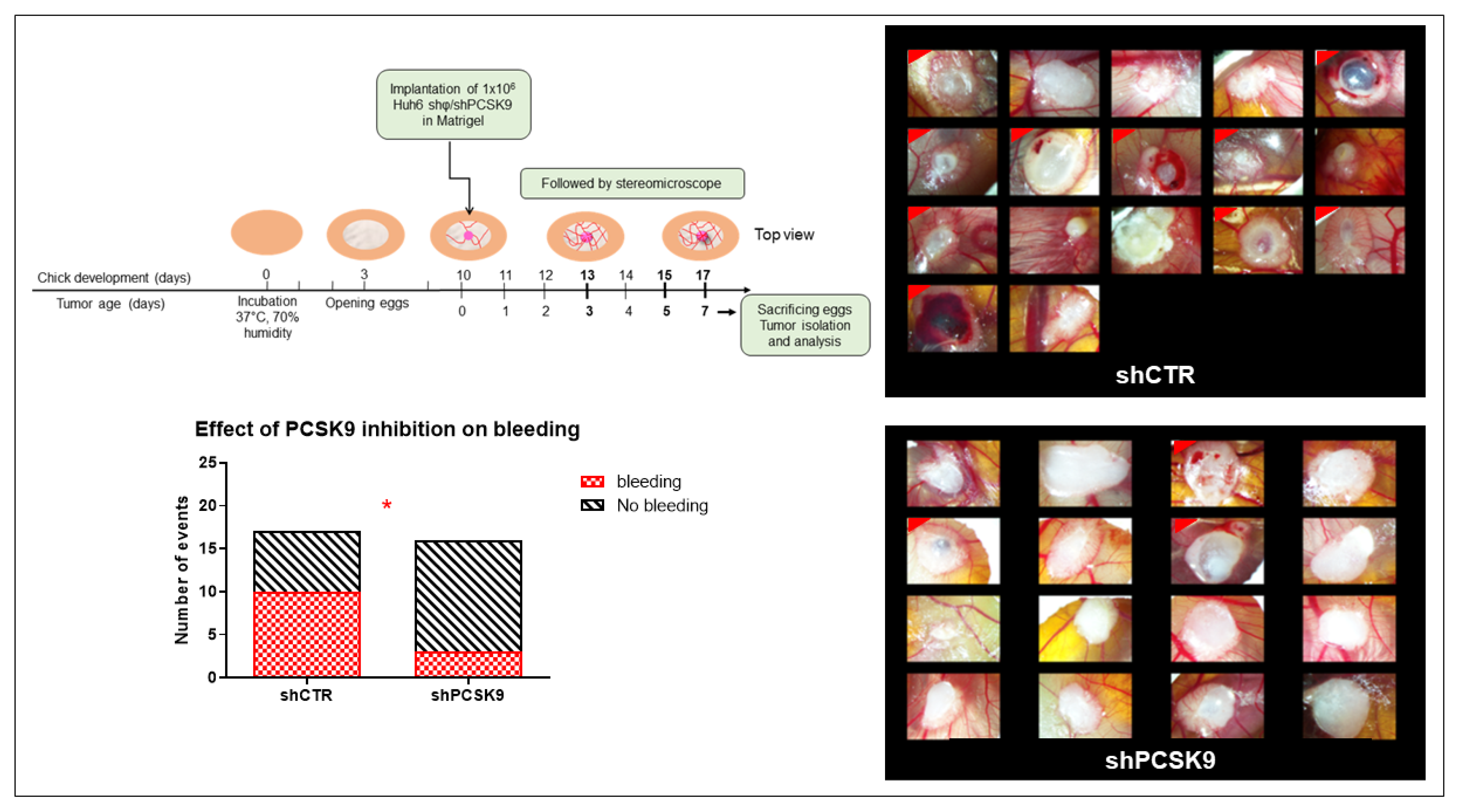 Cancers 15 00003 g007