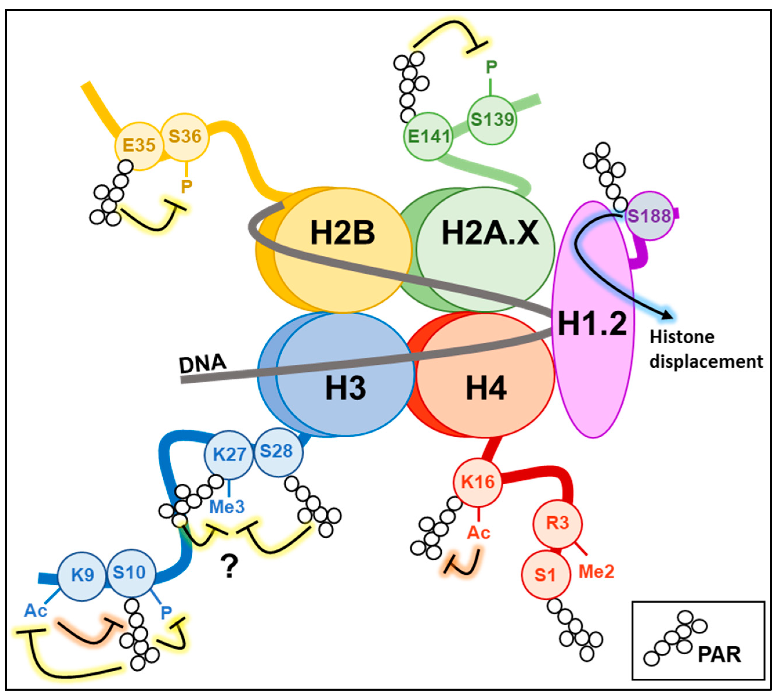 Cancers 15 00006 g002