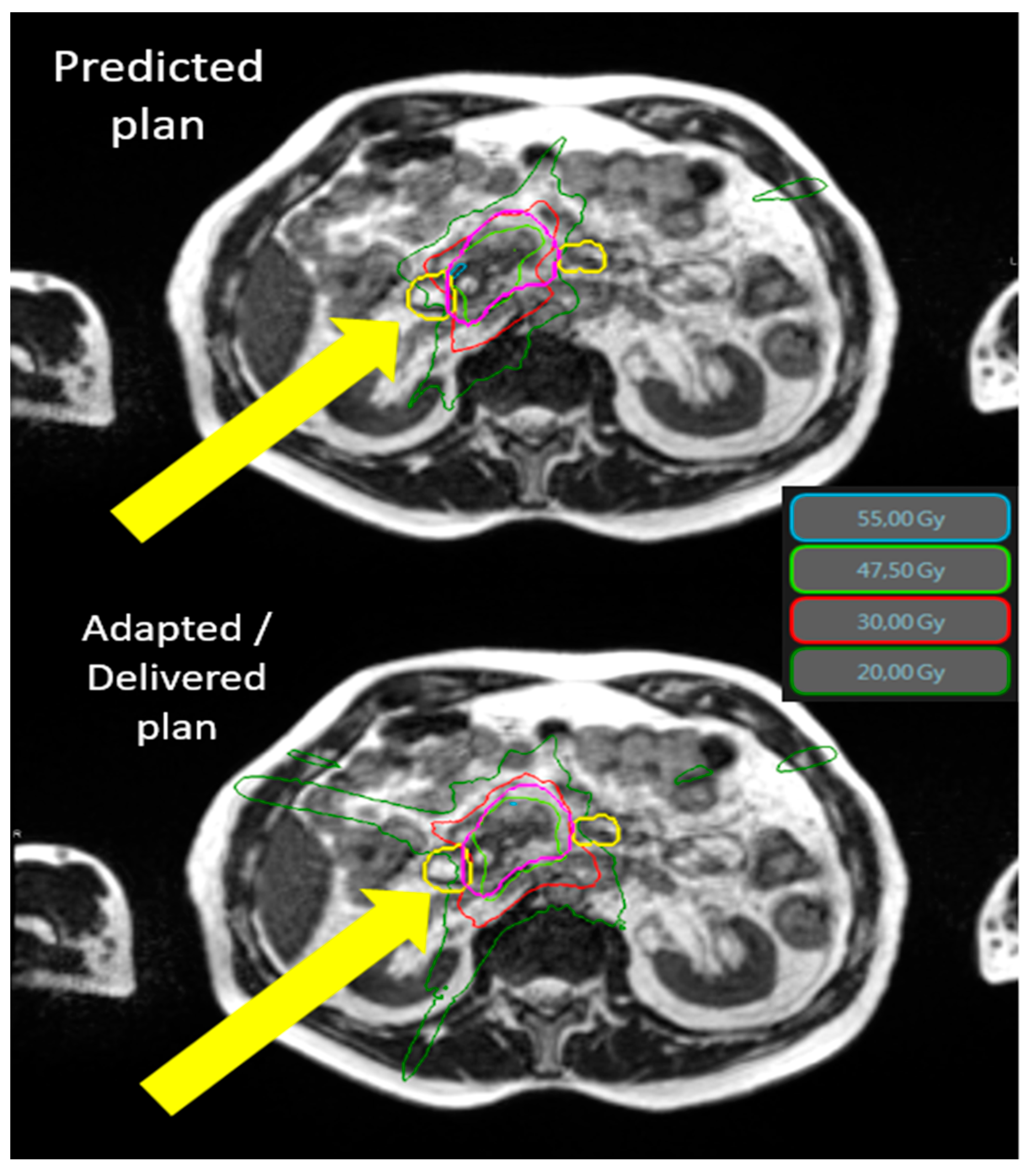 Cancers 15 00007 g001