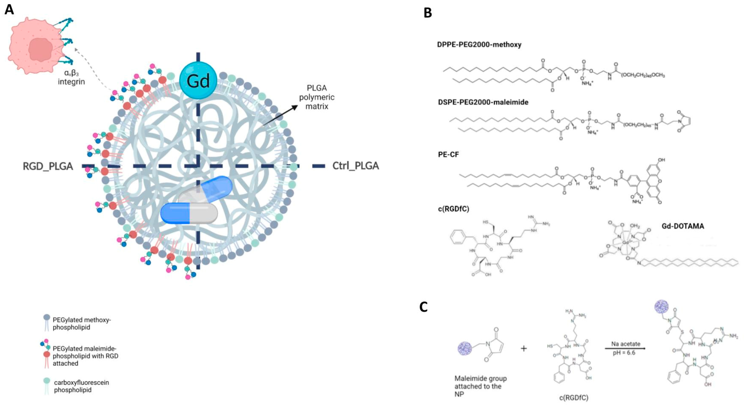 Cancers 15 00008 g001
