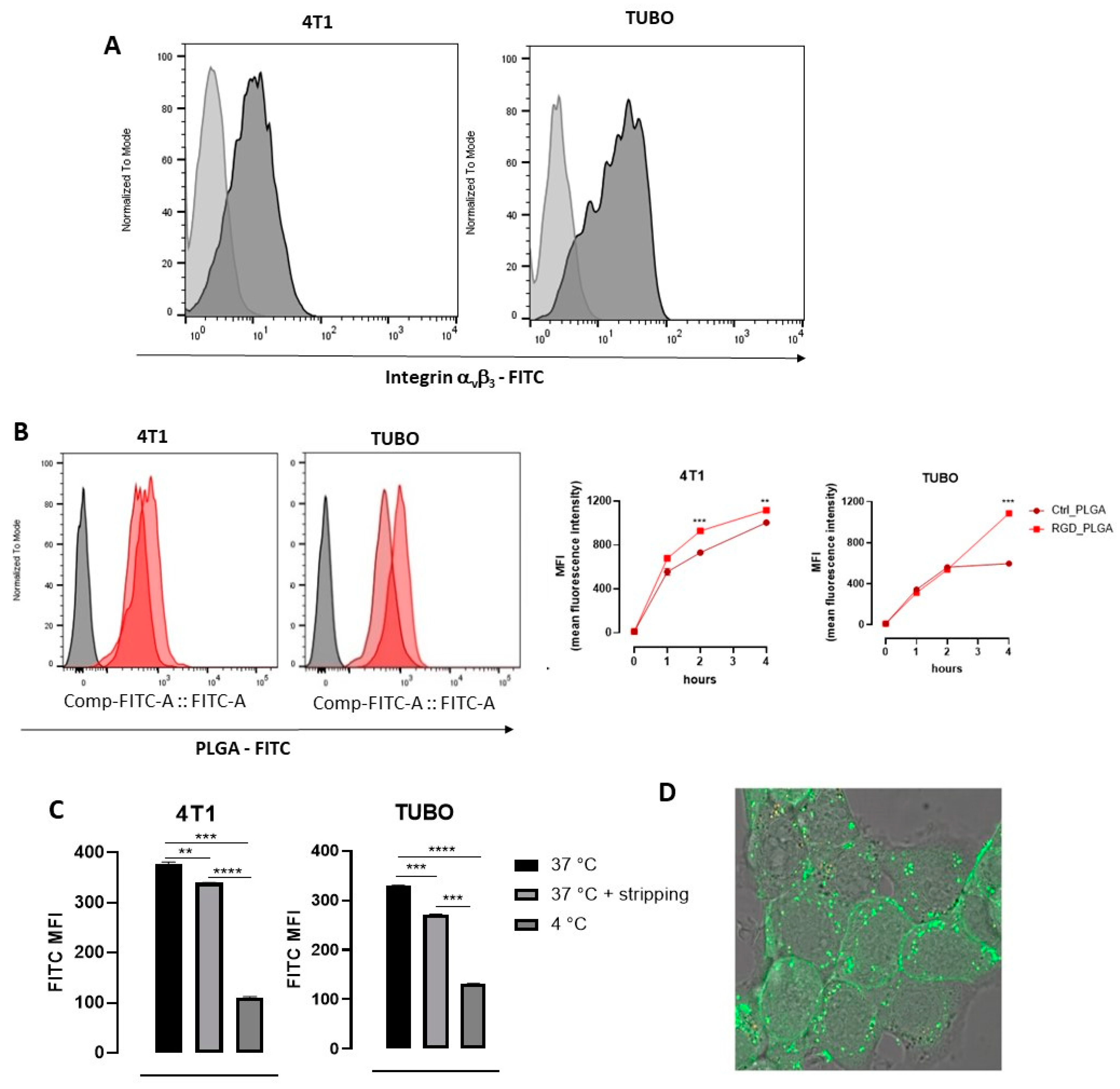 Cancers 15 00008 g003