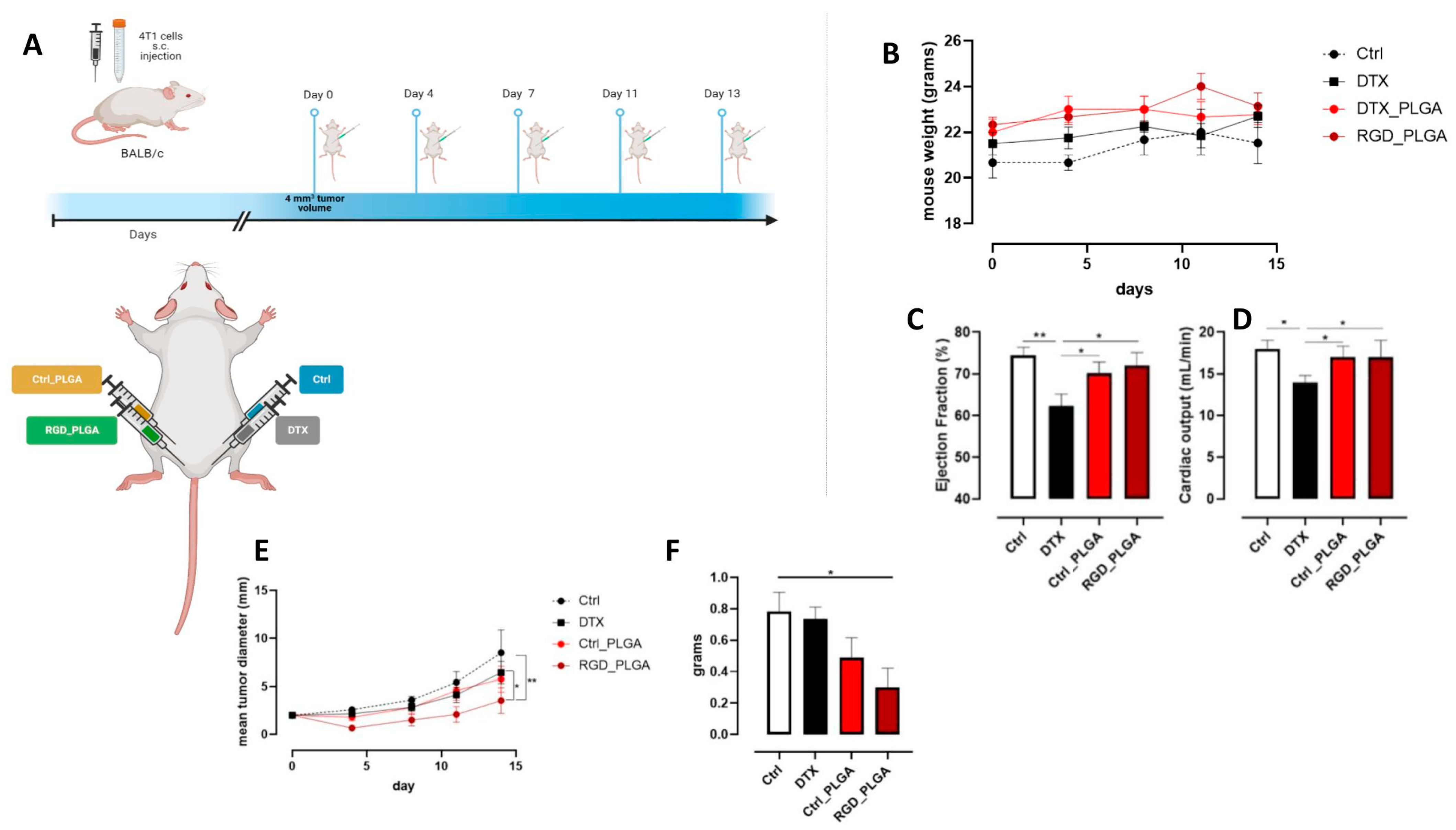 Cancers 15 00008 g006