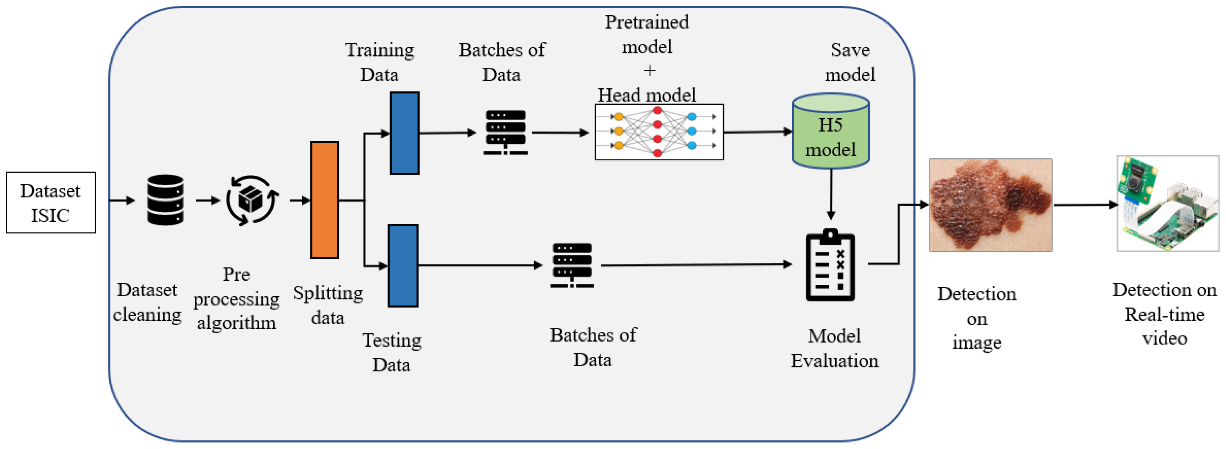 Cancers 15 00012 g002 Cancers 15 00012 g002