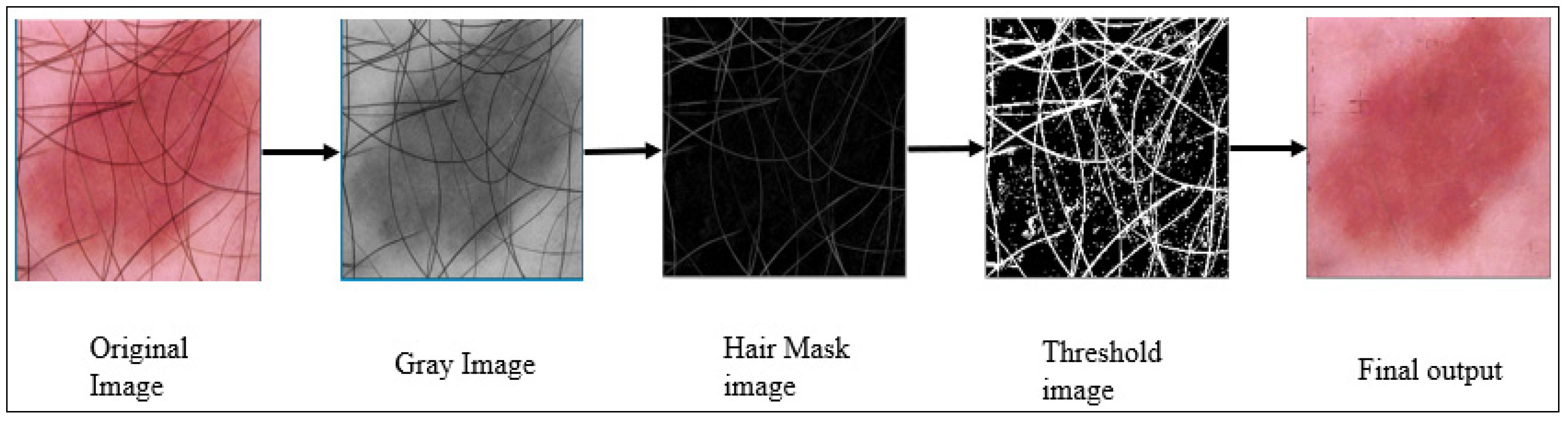 Cancers 15 00012 g004 Cancers 15 00012 g004