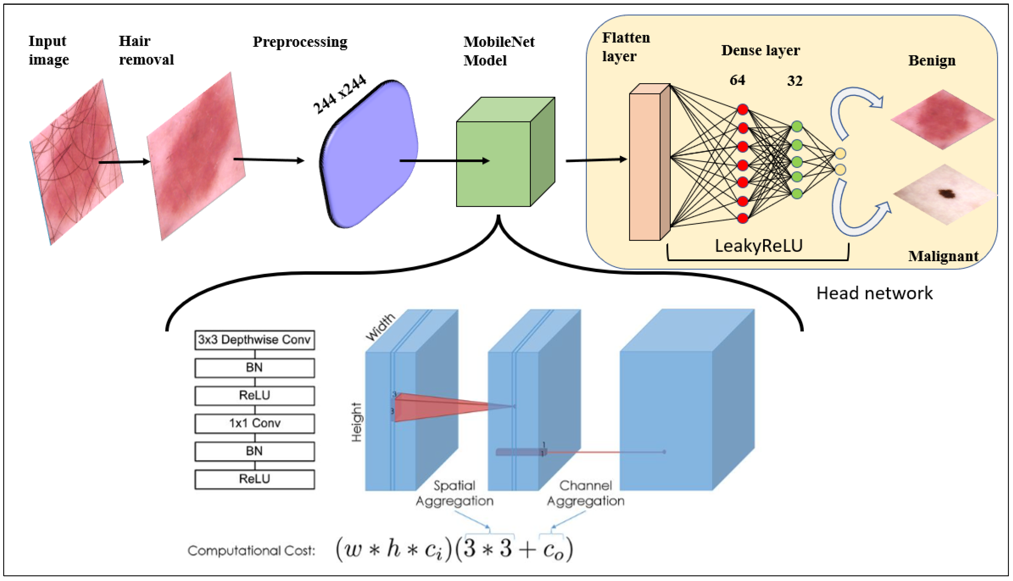 Cancers 15 00012 g005 Cancers 15 00012 g005