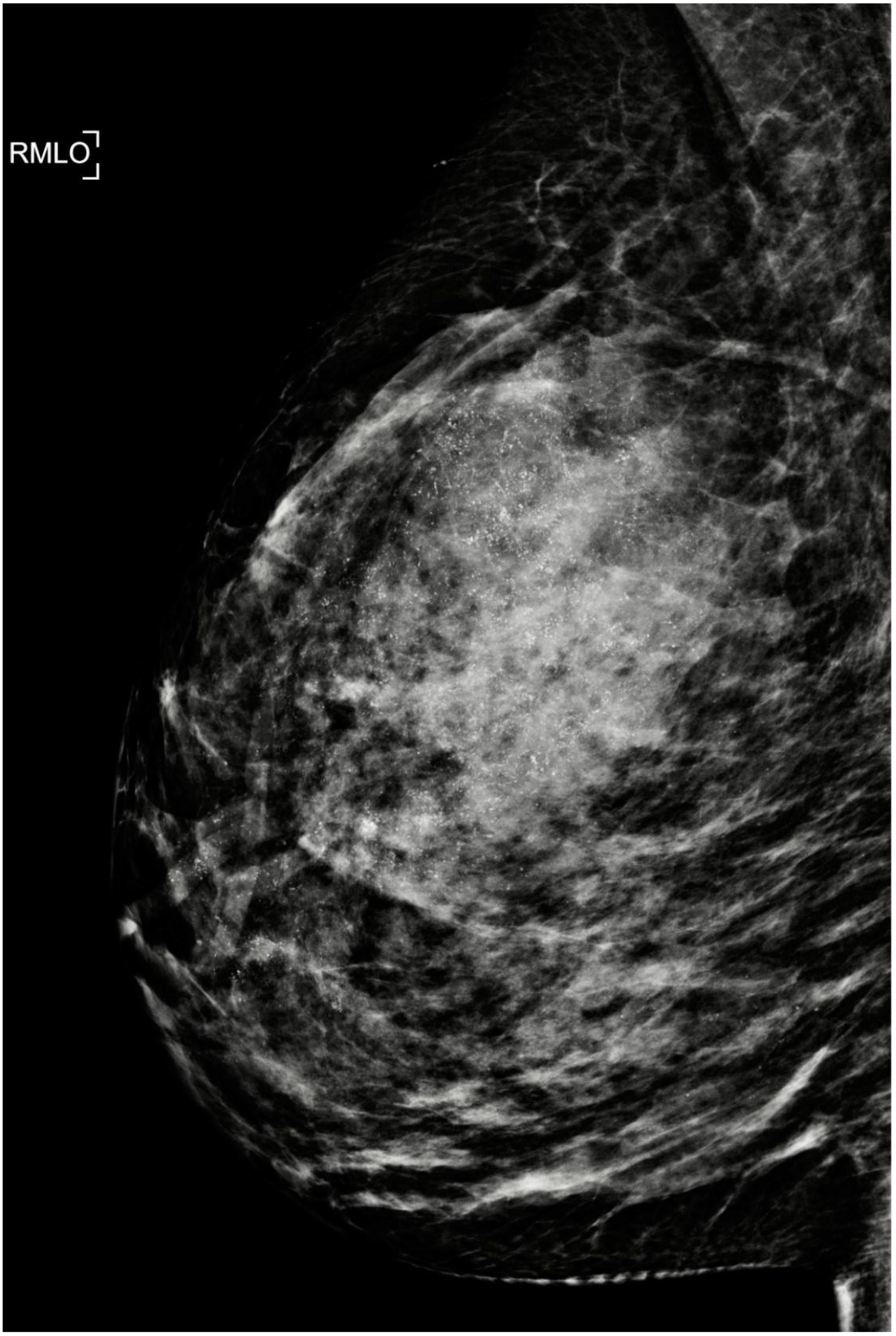 Cancers 15 00013 g003 Cancers 15 00013 g003