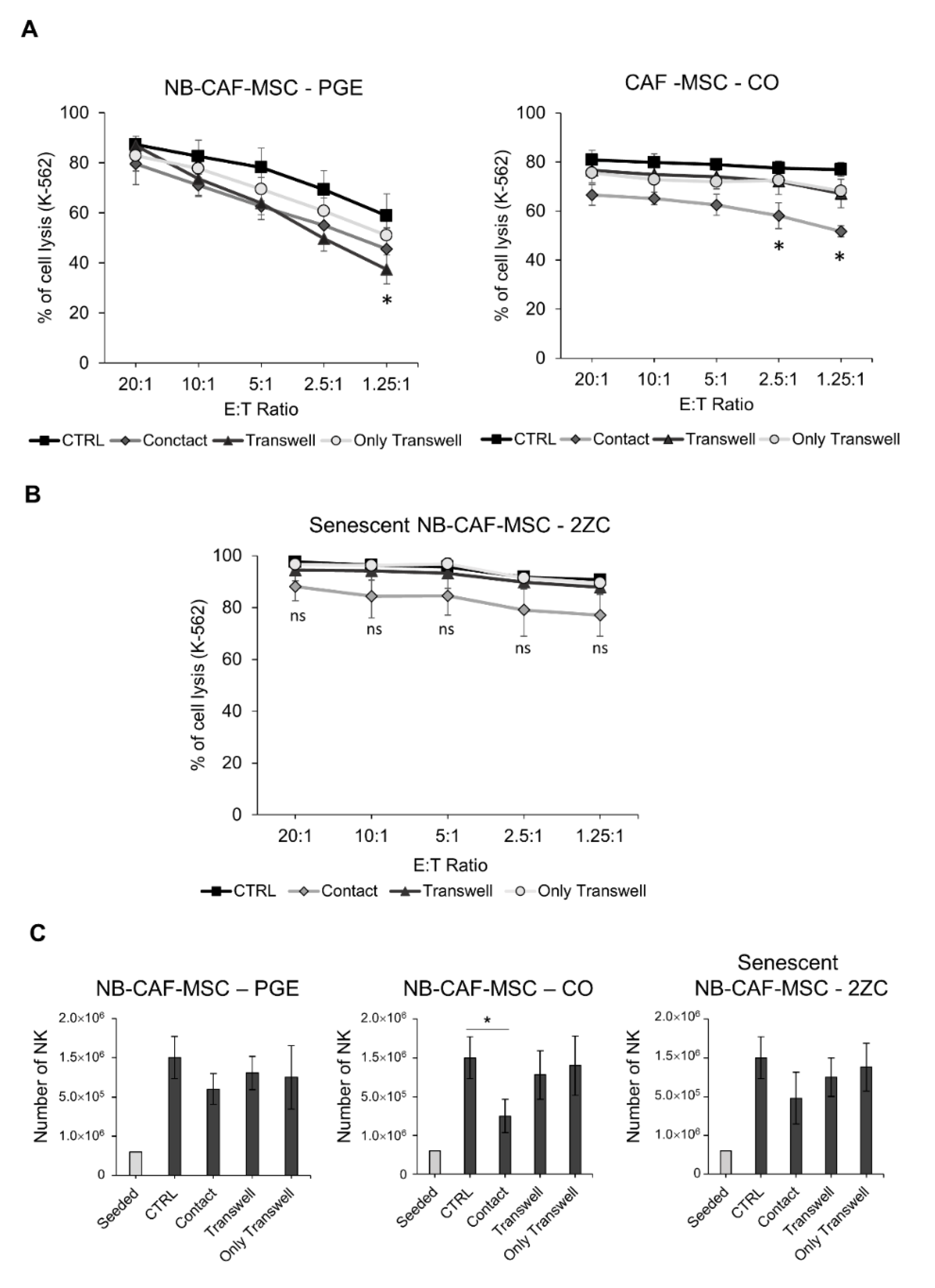 Cancers 15 00019 g007 Cancers 15 00019 g007