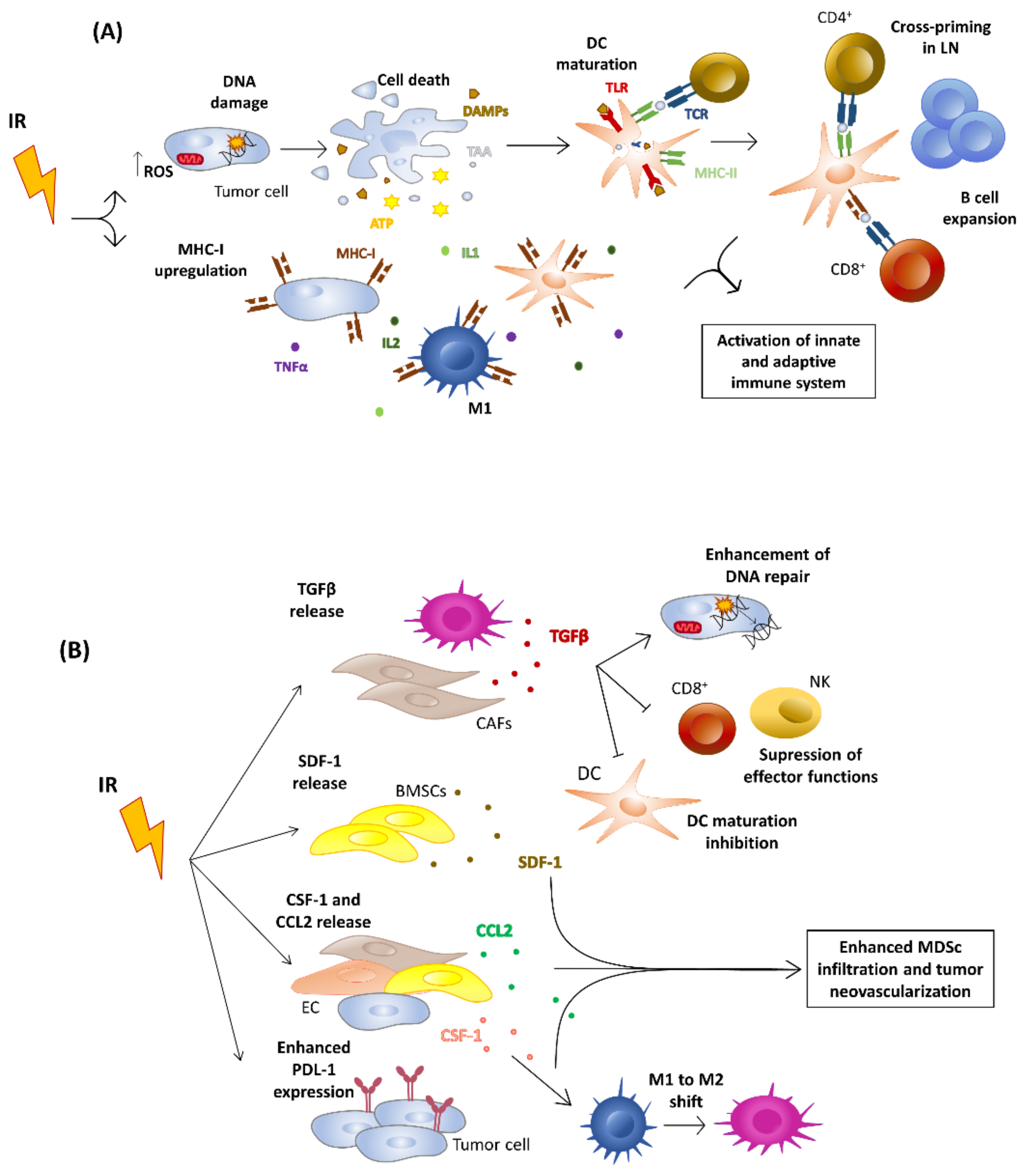 Cancers 15 00021 g001 Cancers 15 00021 g001