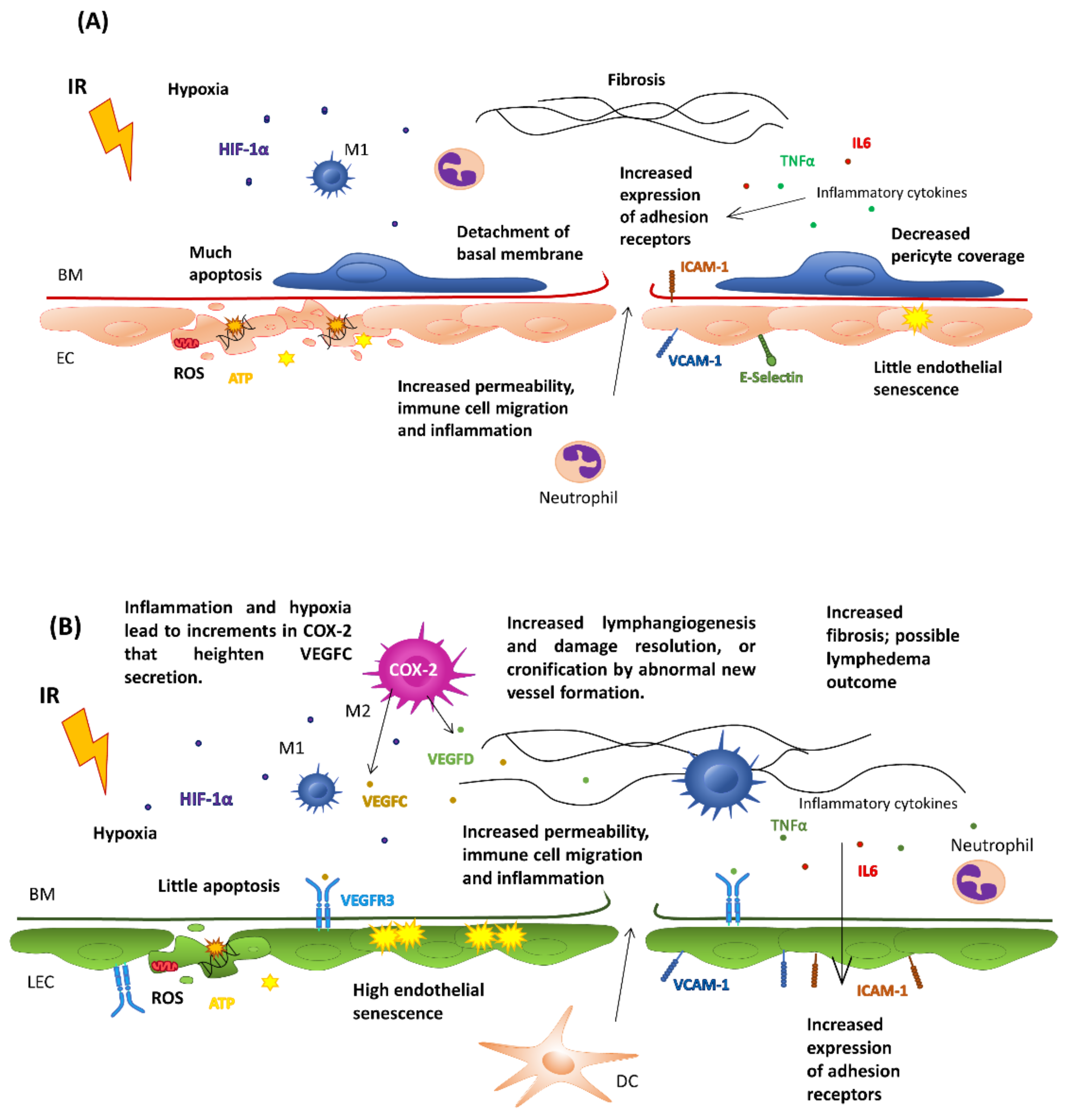 Cancers 15 00021 g002 Cancers 15 00021 g002