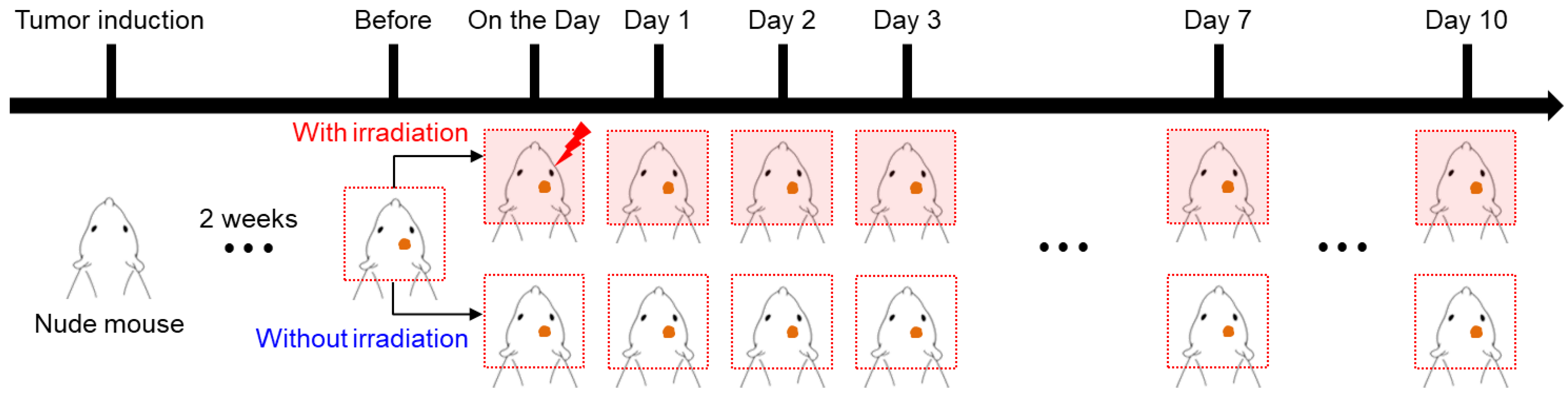 Cancers 15 00022 g001 Cancers 15 00022 g001