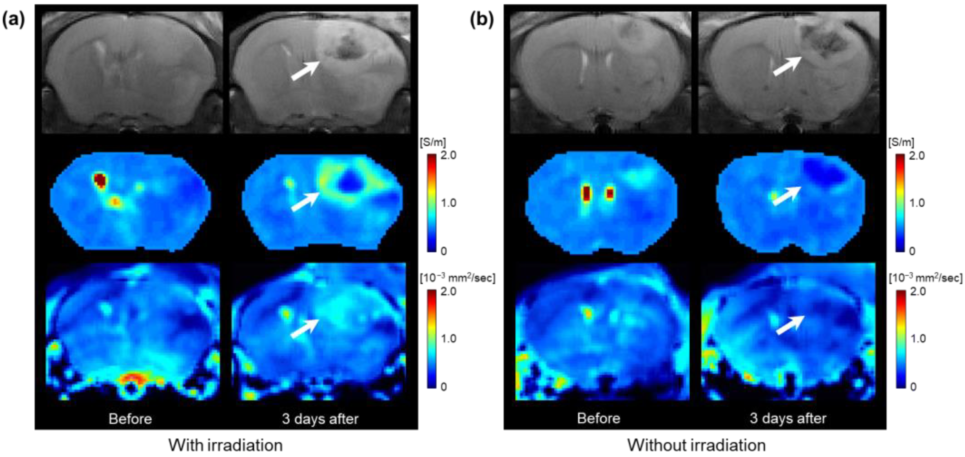 Cancers 15 00022 g002 Cancers 15 00022 g002