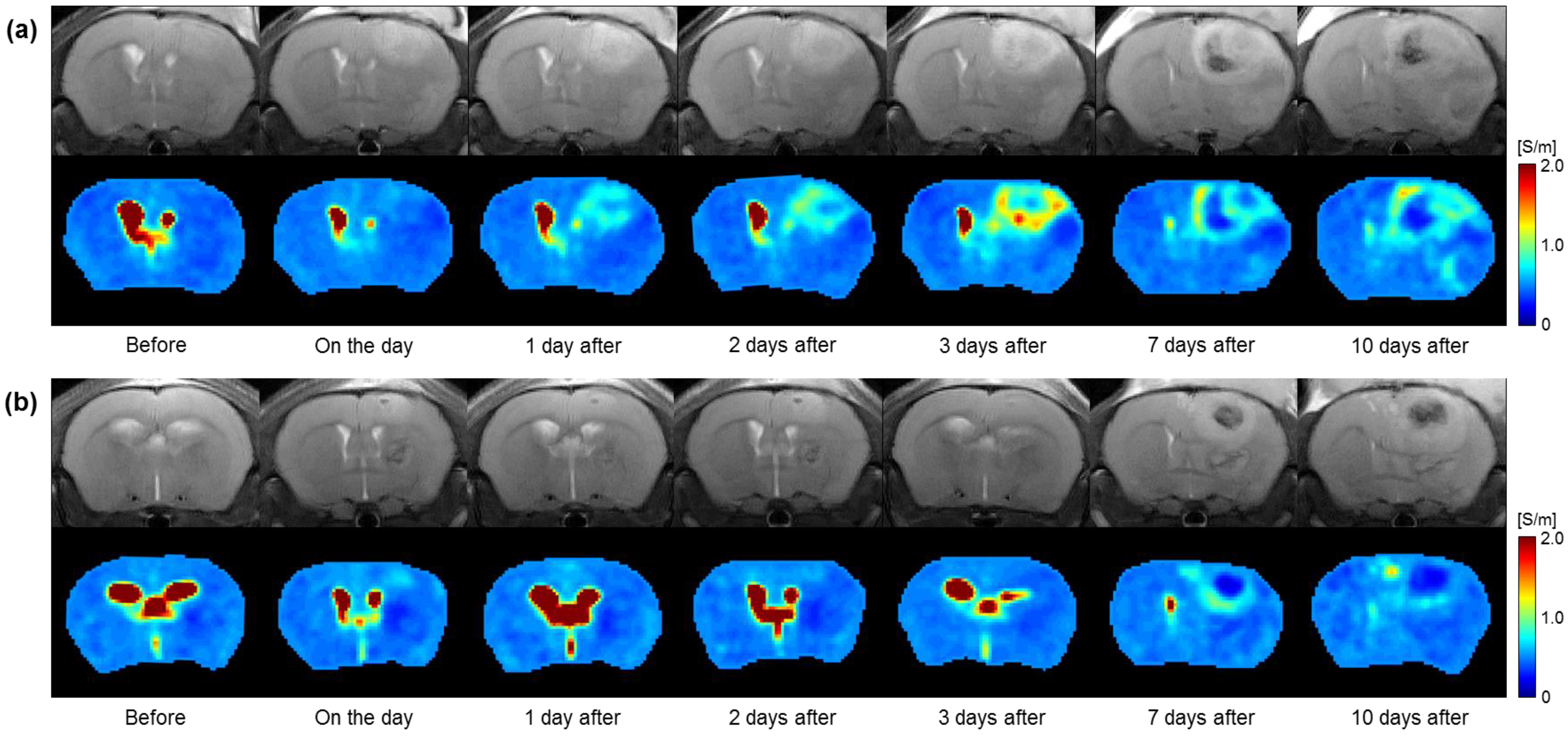 Cancers 15 00022 g003 Cancers 15 00022 g003