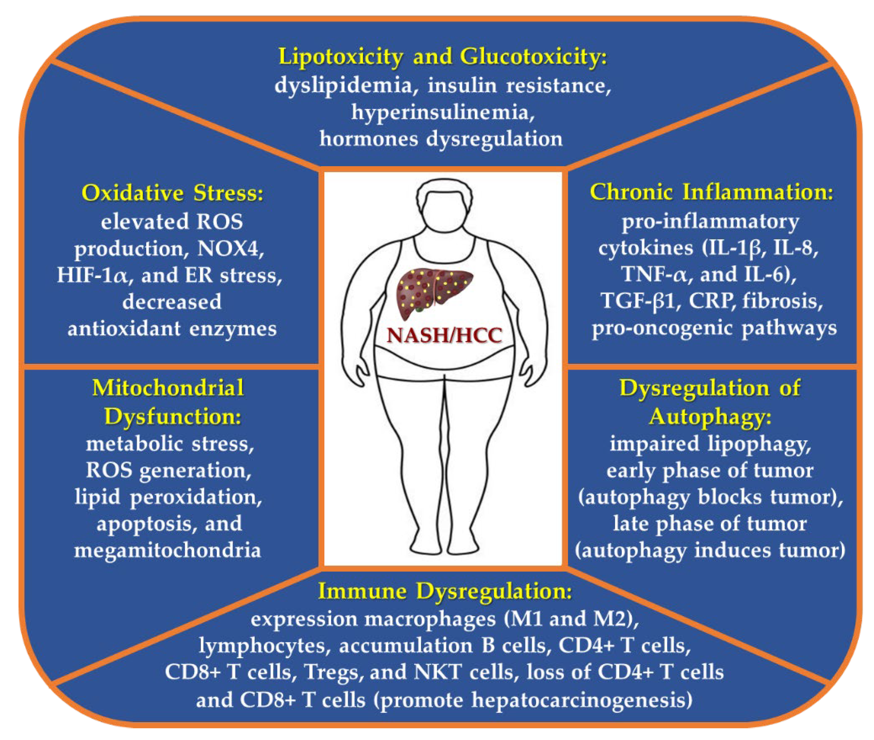 Cancers 15 00023 g002