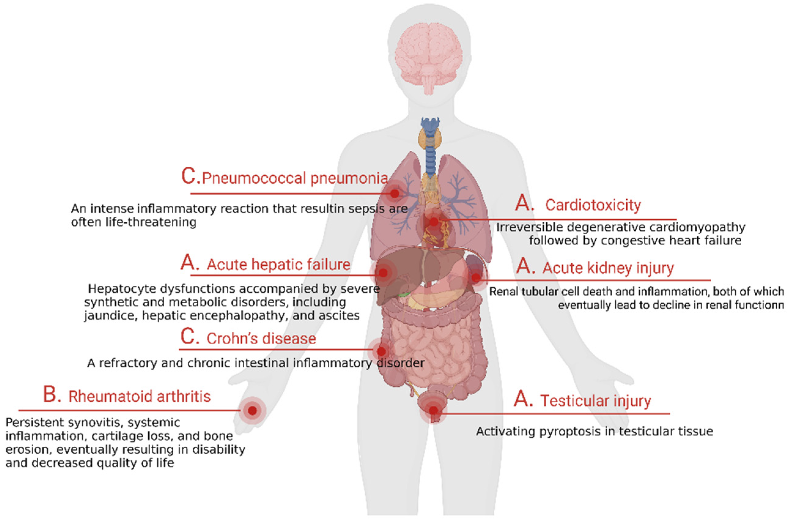 Cancers 15 00026 g008 Cancers 15 00026 g008